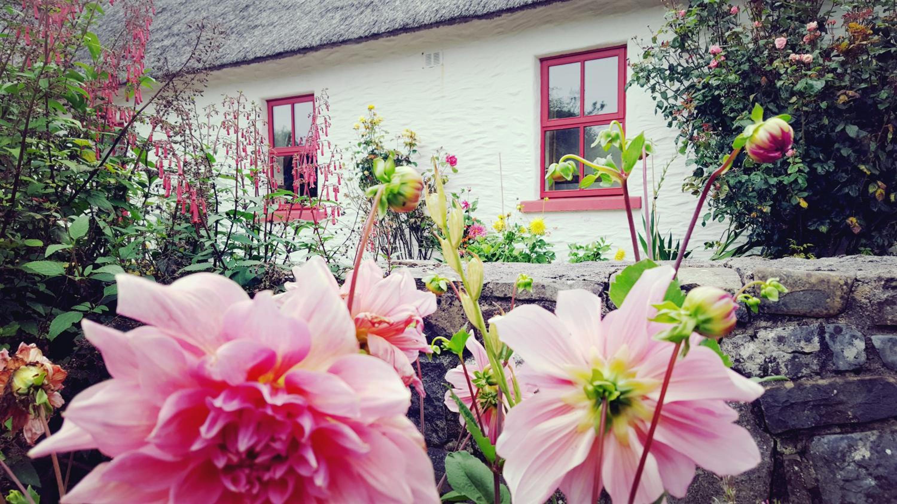 Vacation Home - Photo 8
