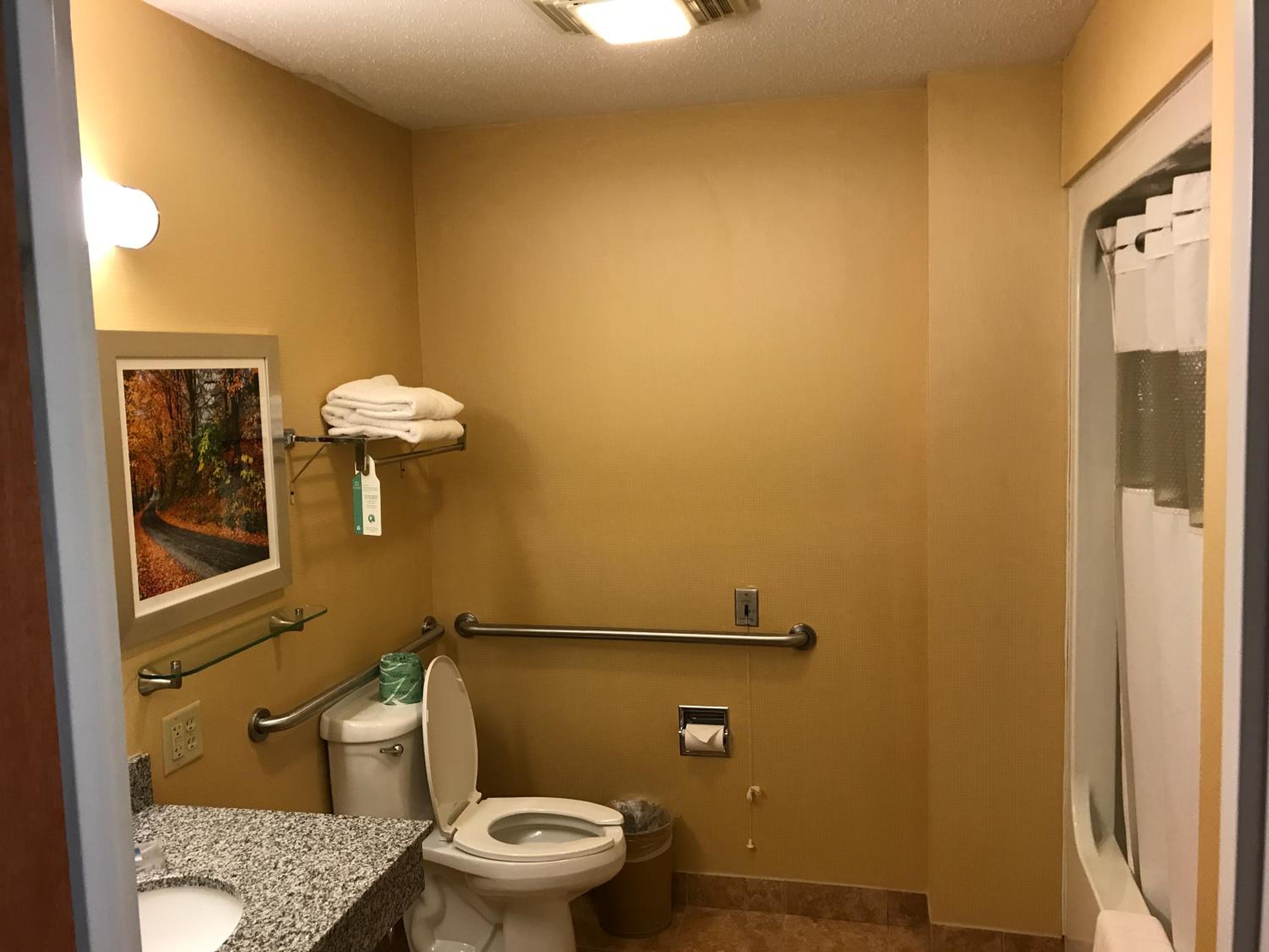 Queen Room with Two Queen Beds - Disability Access/Bath Tub - Photo 8