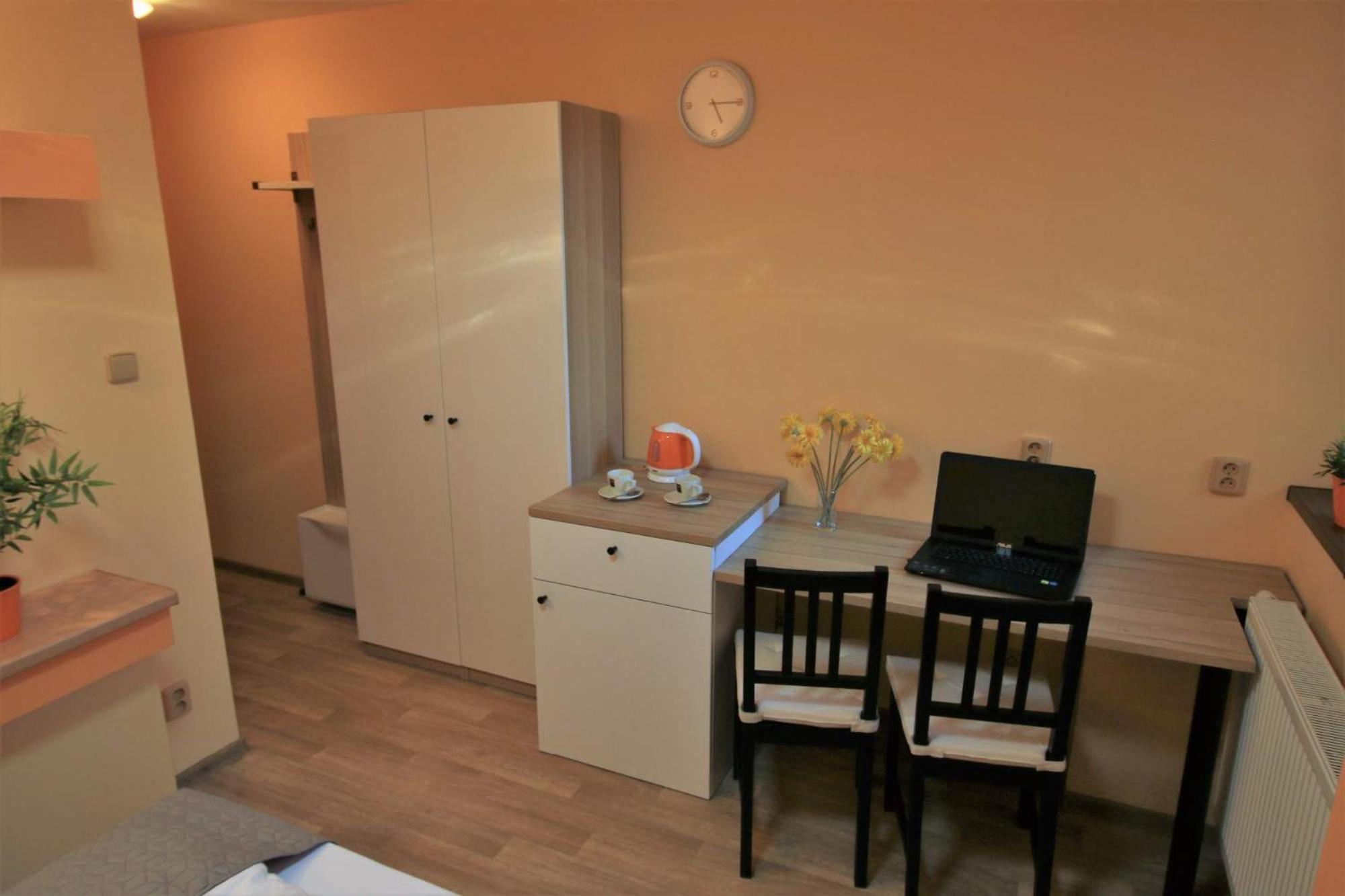 Deluxe Double or Twin Room with Shower photo 3