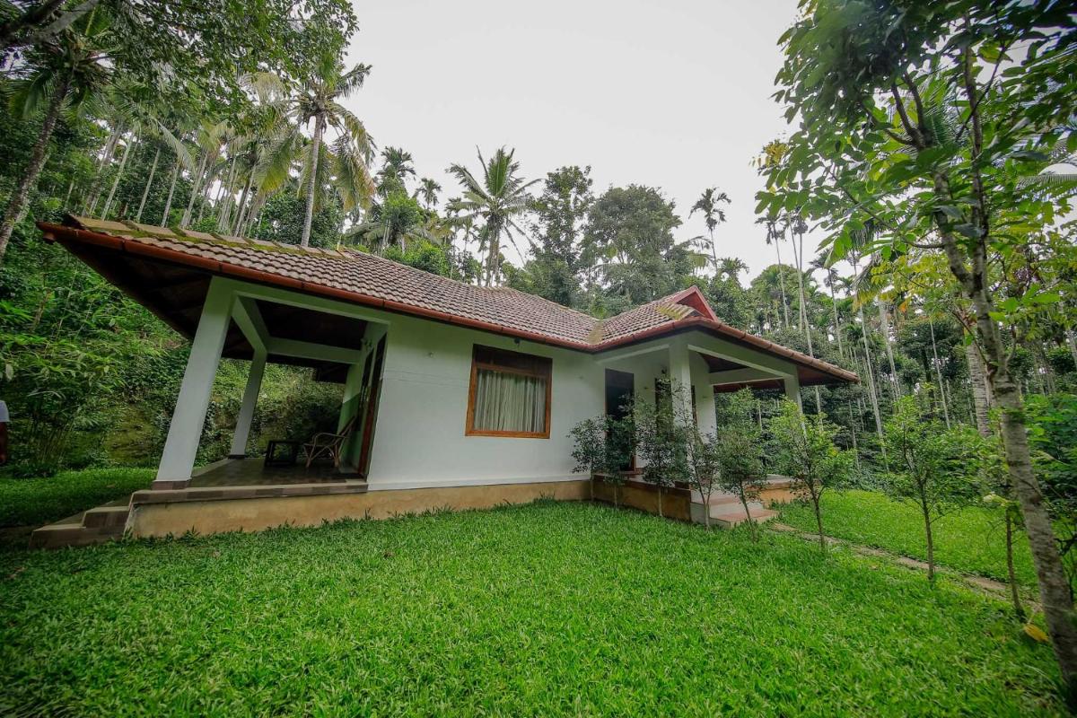 Family Room with Garden View photo 3