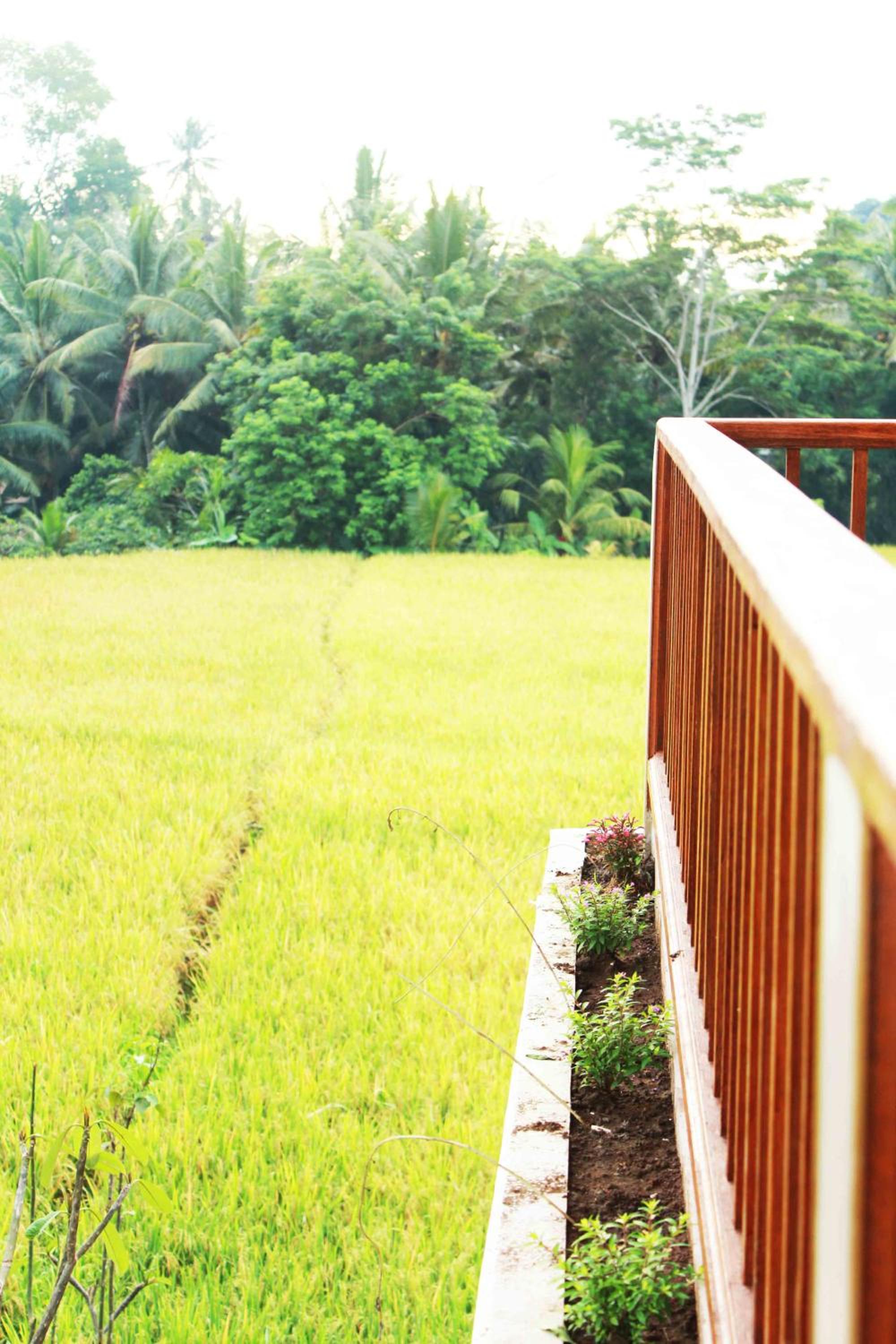 Deluxe Double Room with Balcony - Photo 7