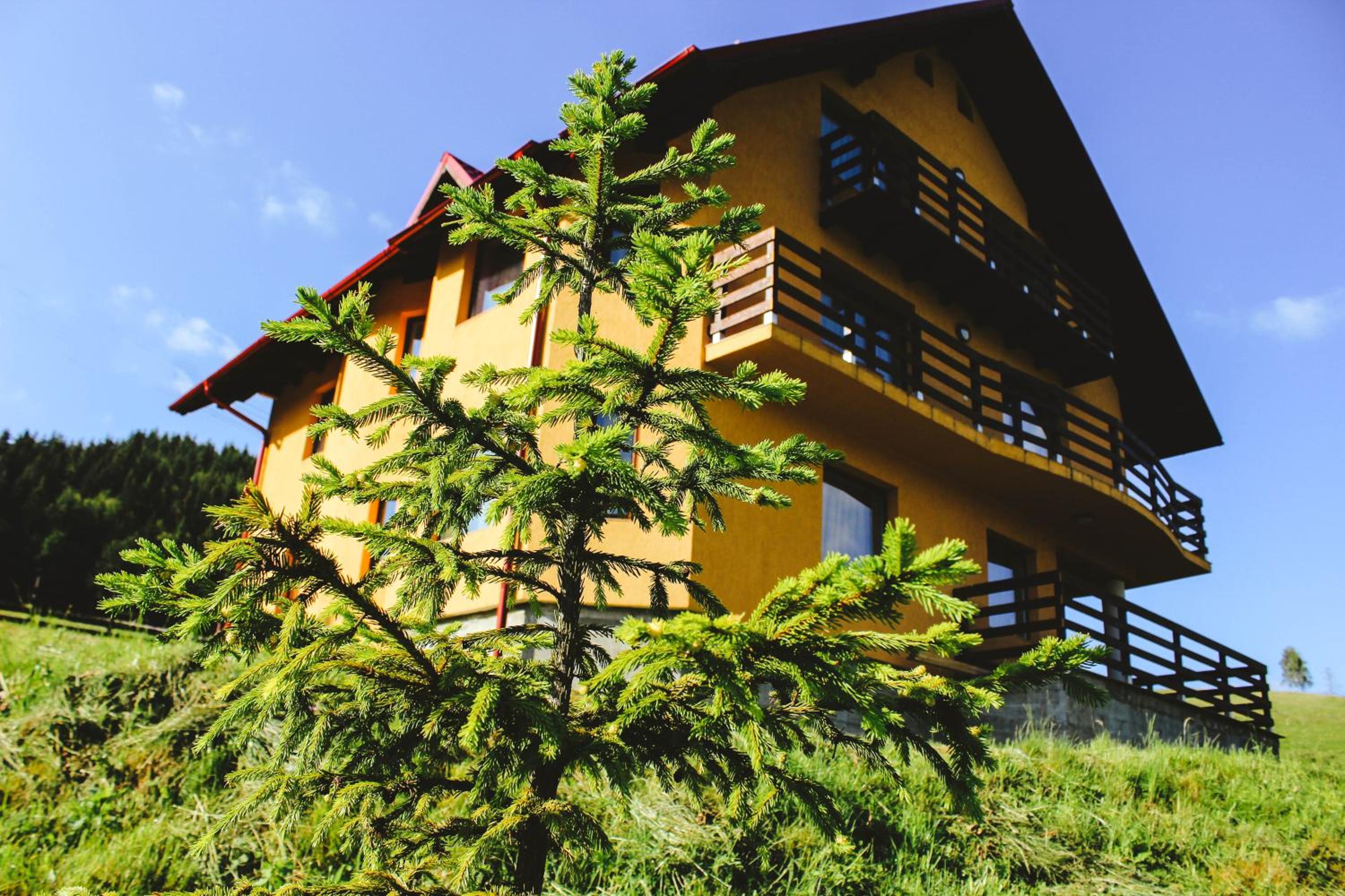 Villa photo 2