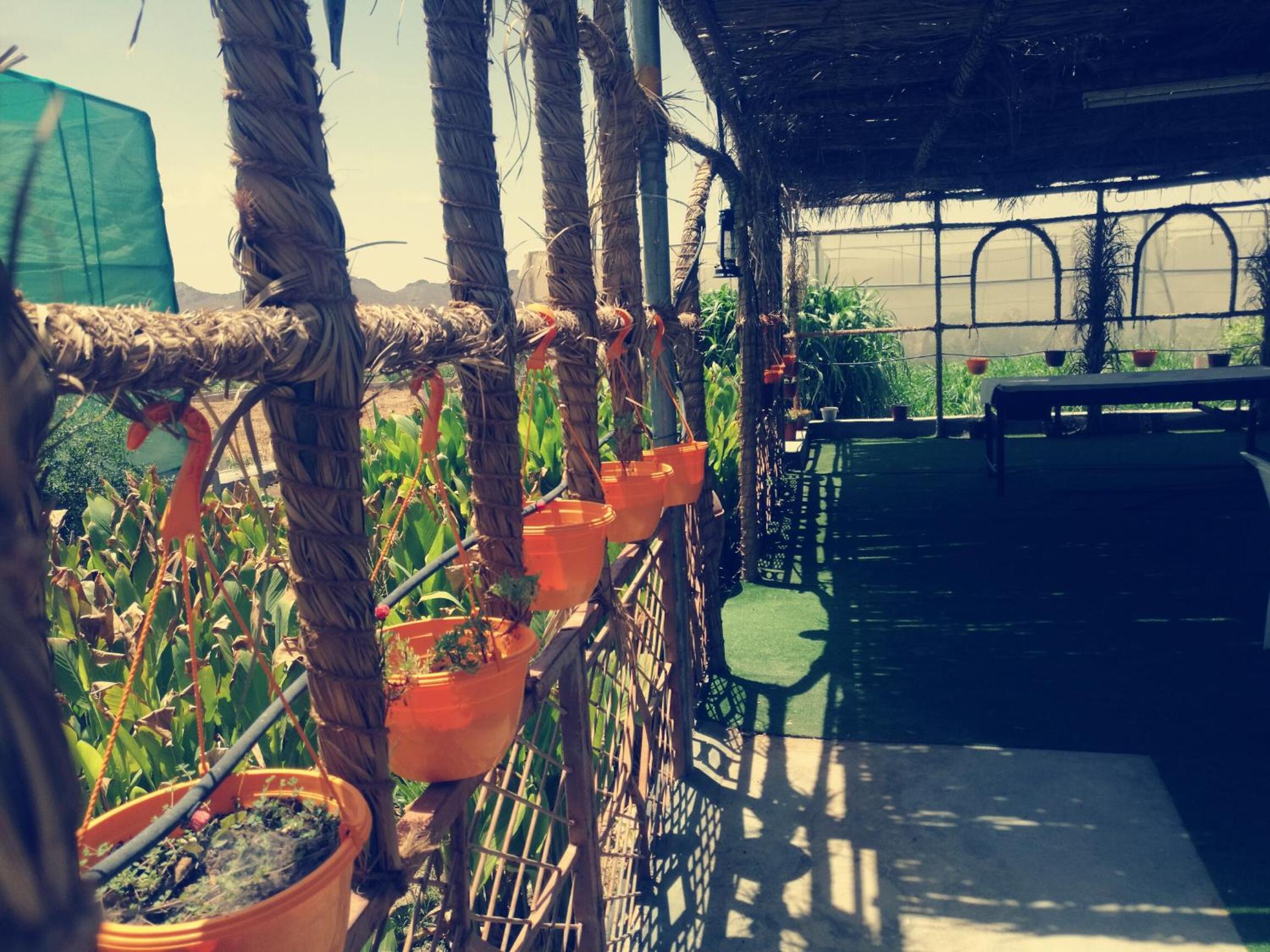 Holiday Home photo 3