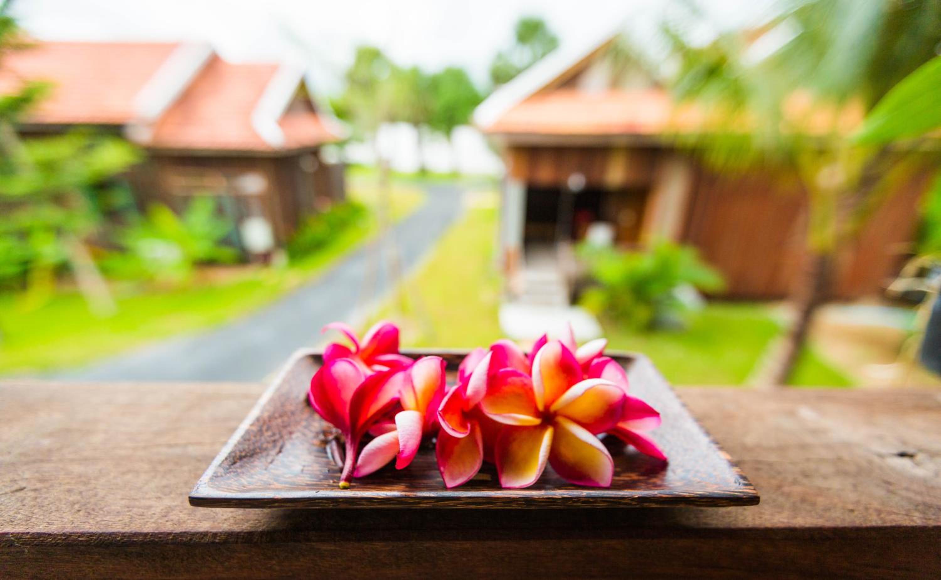 Khmer Residence photo 3