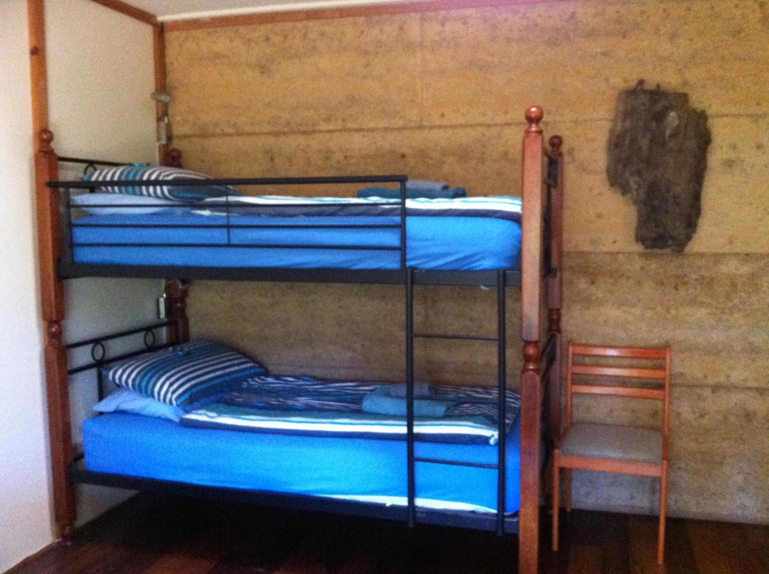 Forest Family Room - Photo 2