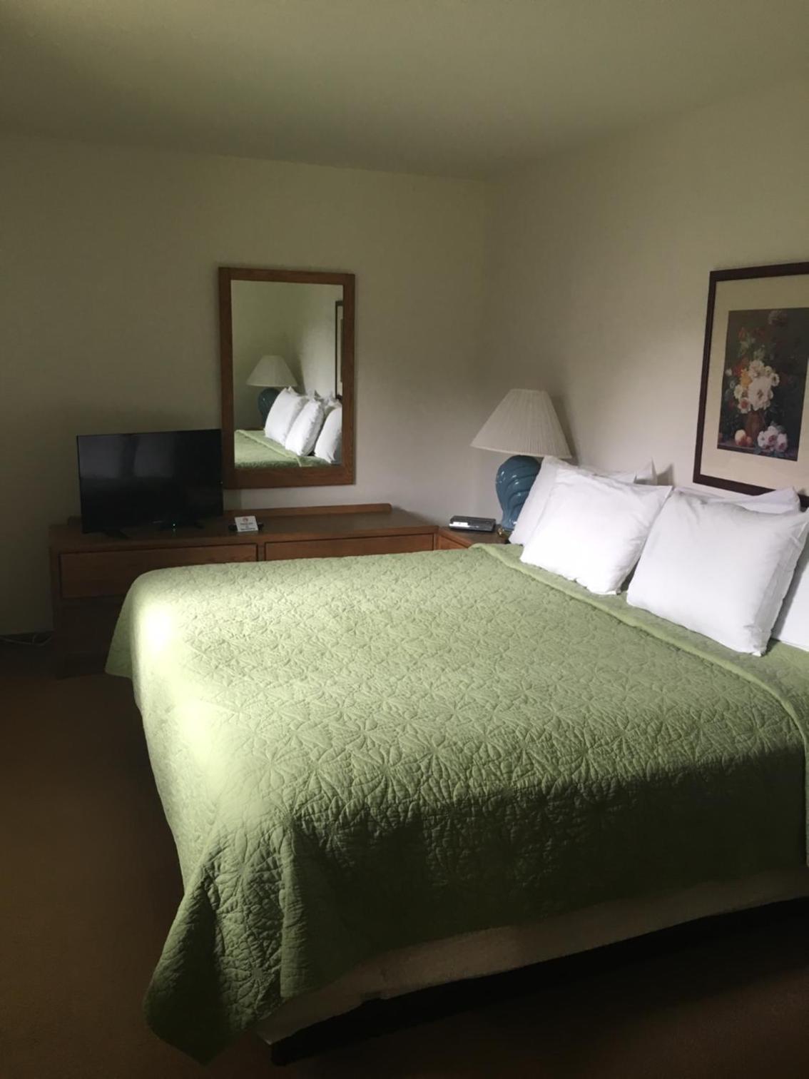 King Room photo 1