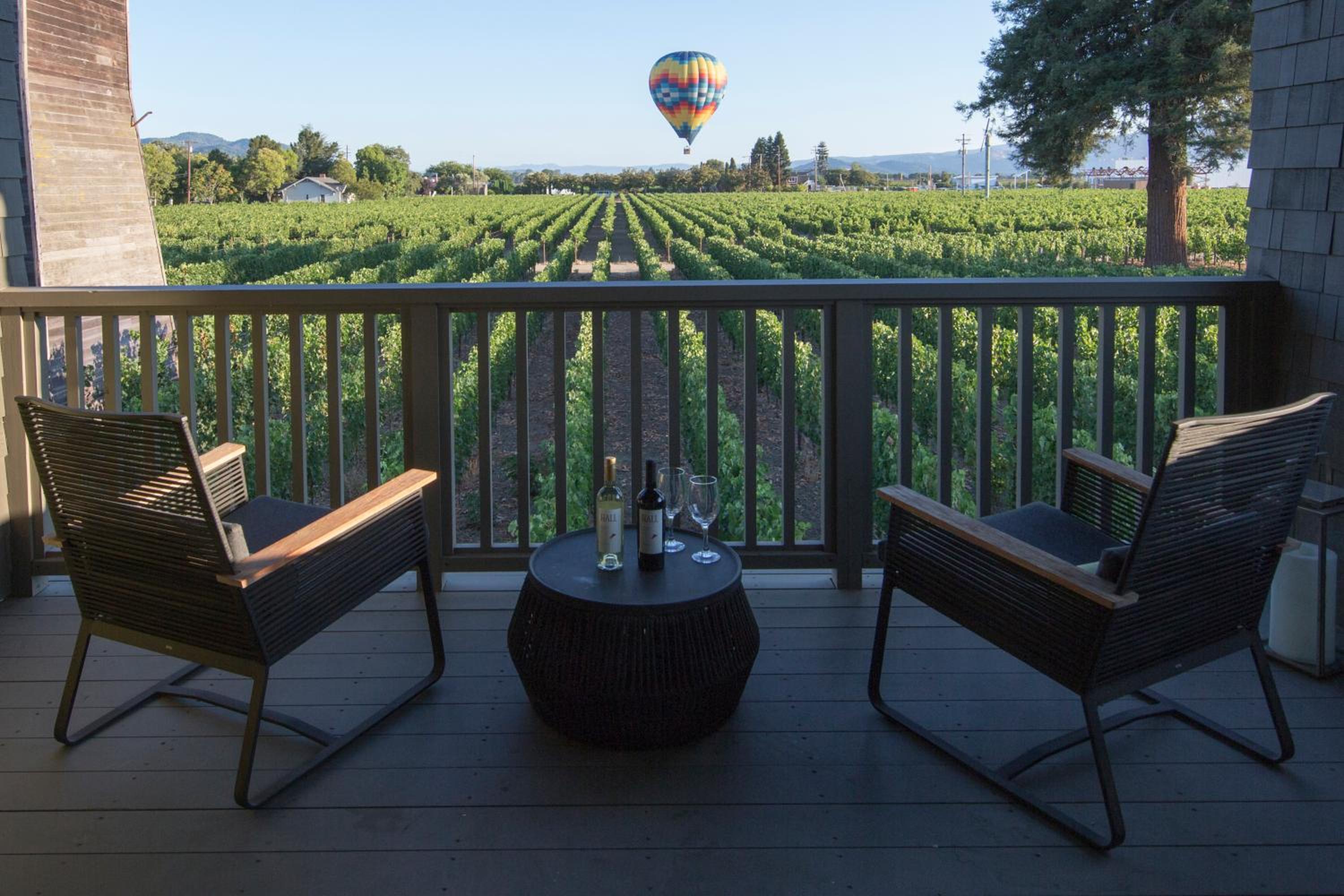 Vineyard King - Photo 2