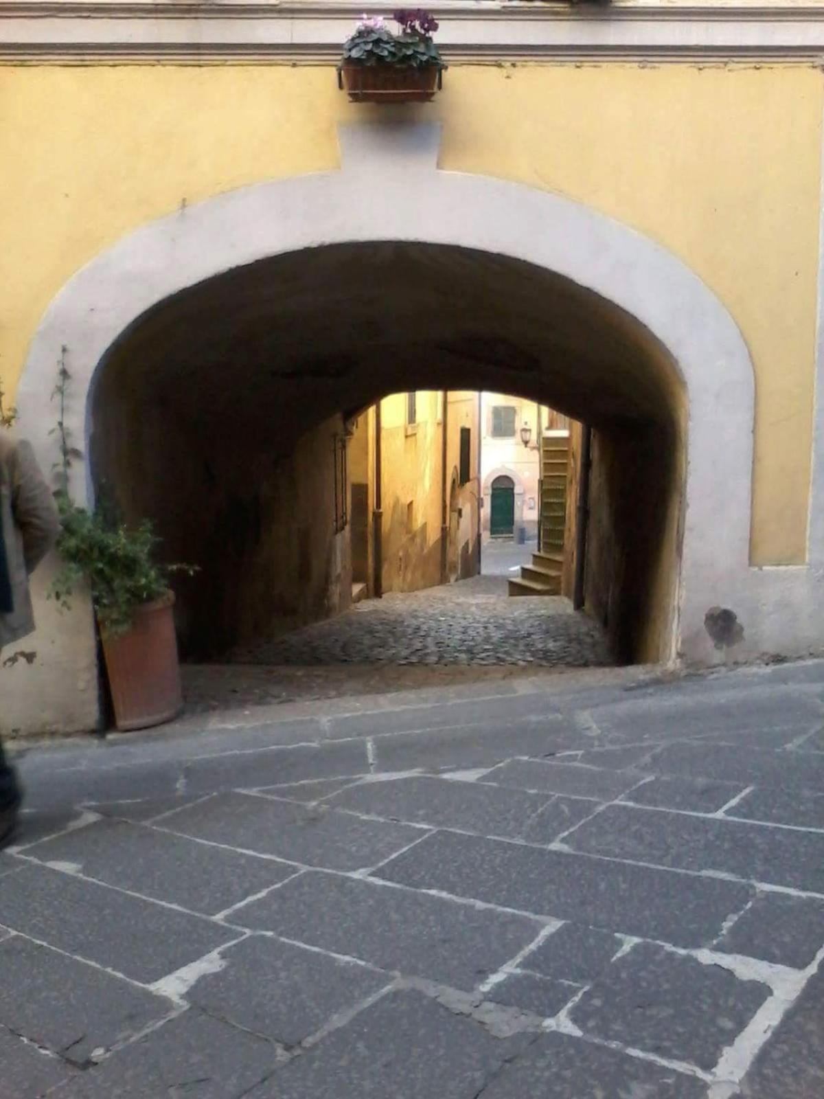 Apartment with Garden View photo 3