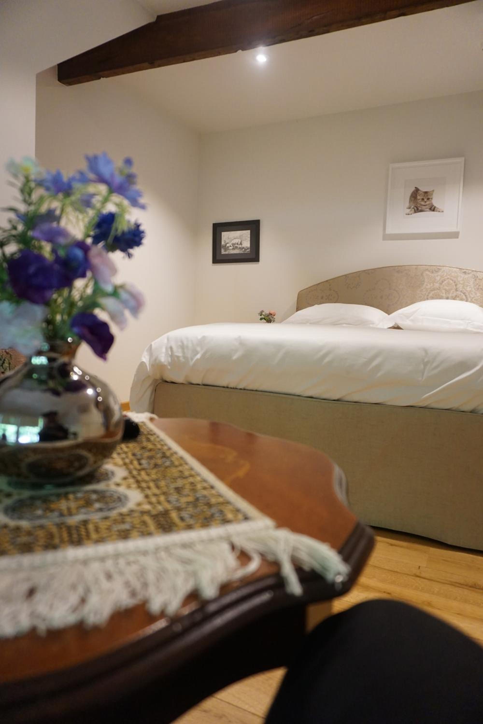 Superior King Room photo 3