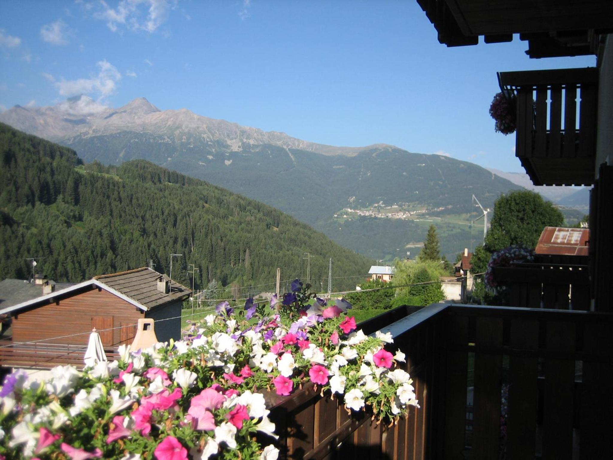 Apartment With Garden View photo 1