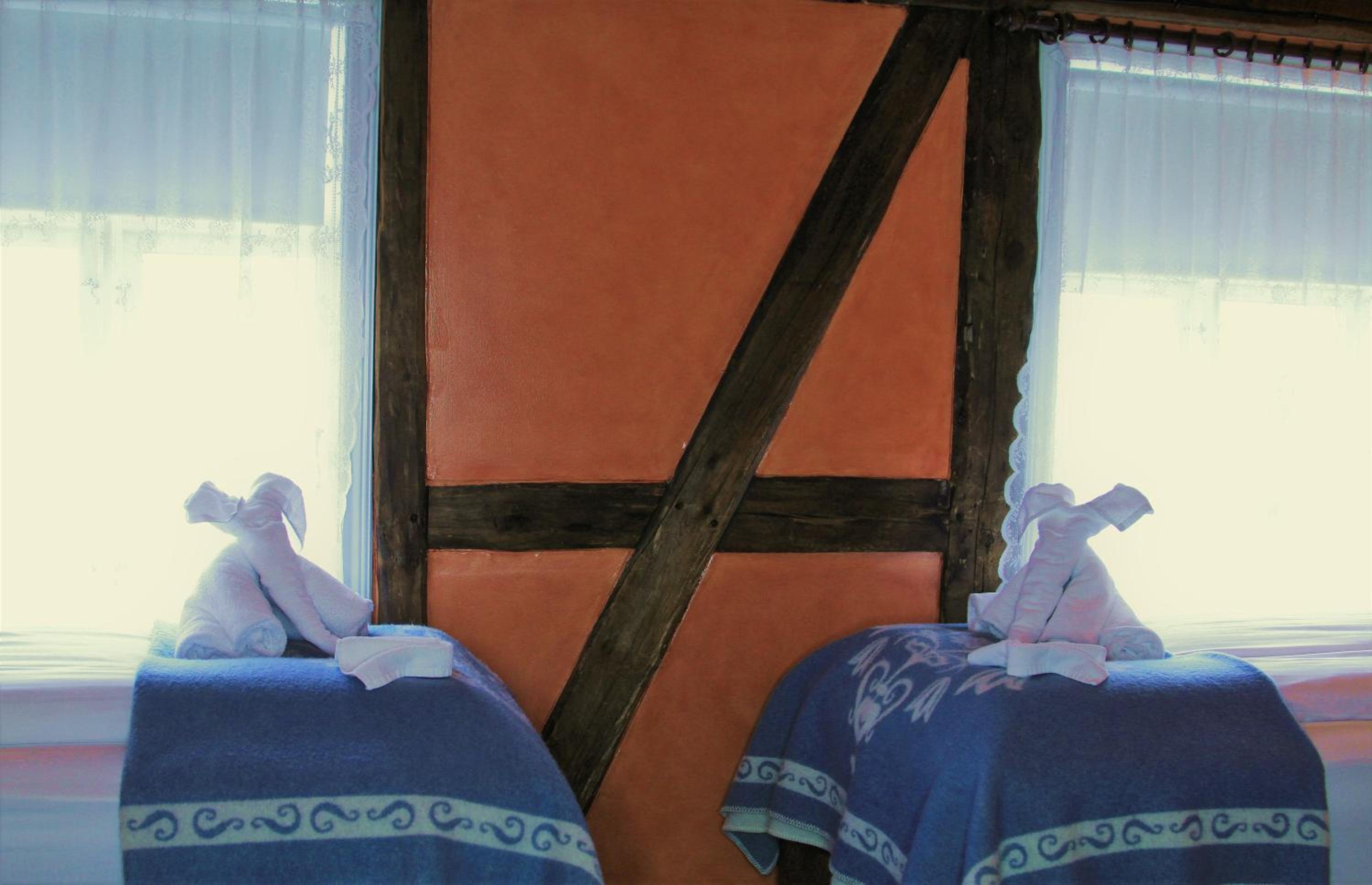 Double or Twin Room photo 1