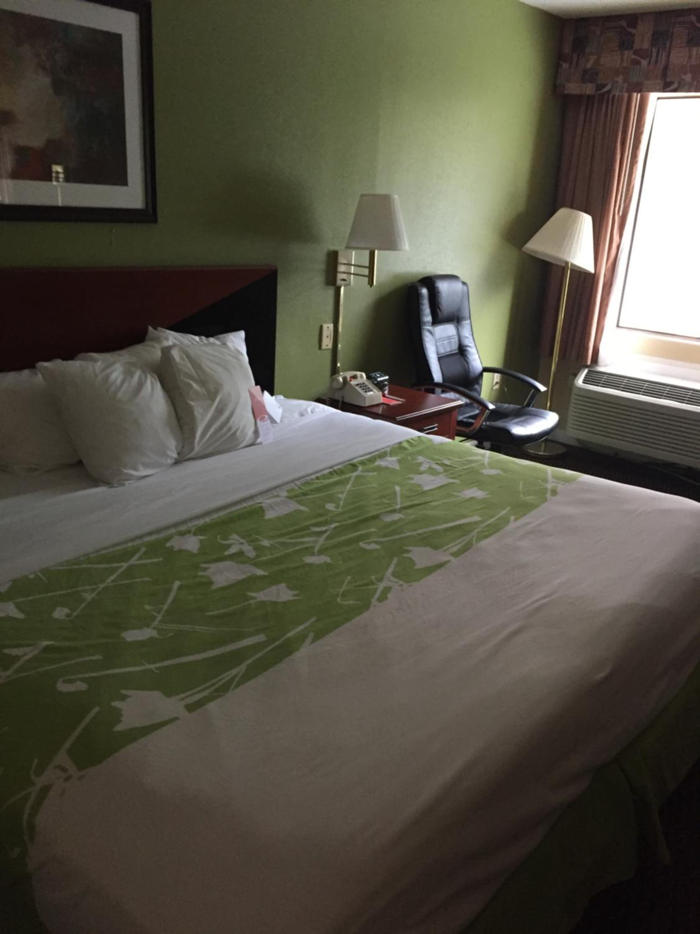 Standard King Room - Non-Smoking  - Photo 4