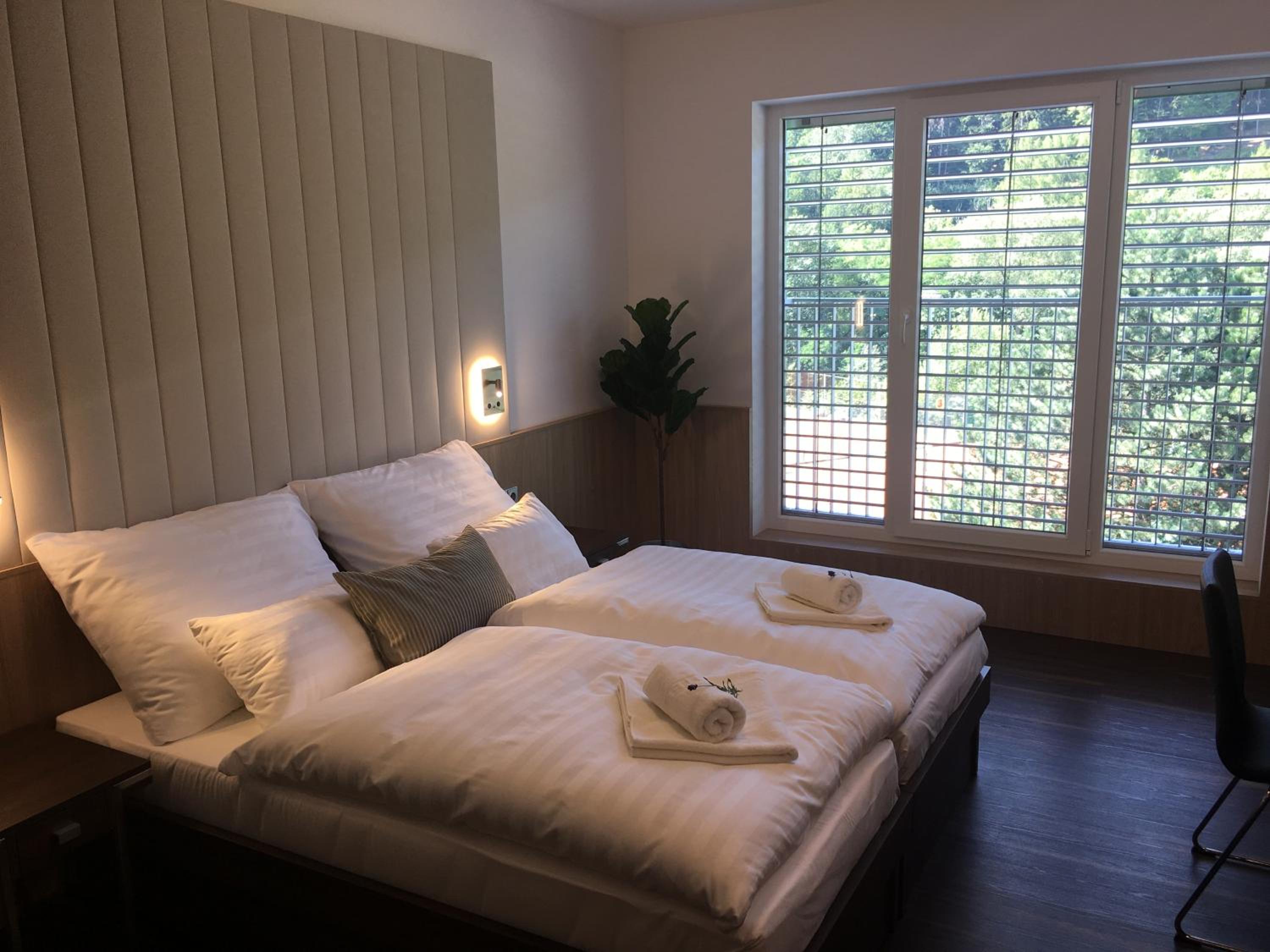Deluxe Double or Twin Room photo 3
