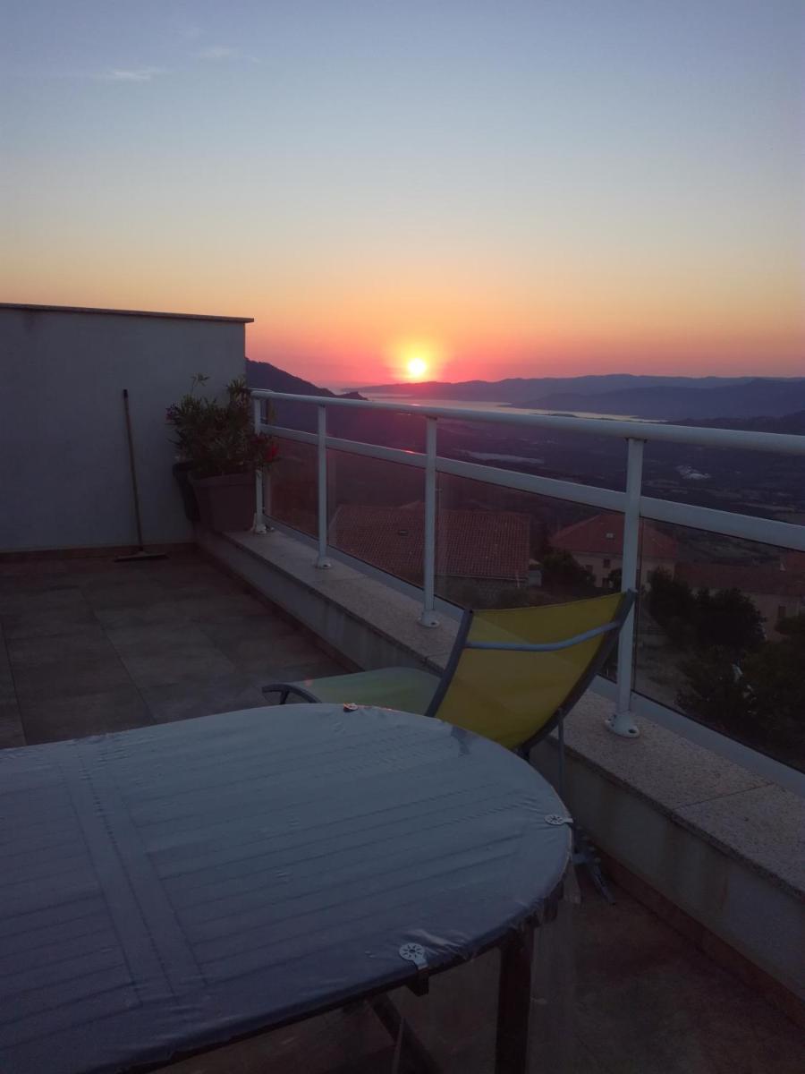 Apartment with Terrace photo 1