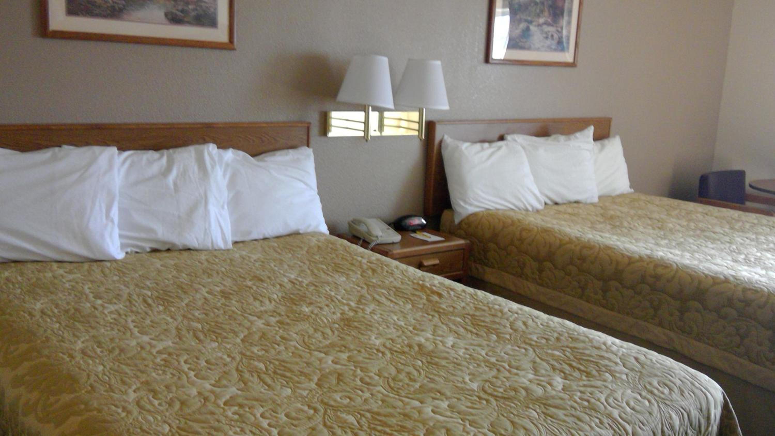 Deluxe Queen Studio with Two Queen Beds - Non-Smoking - Photo 1