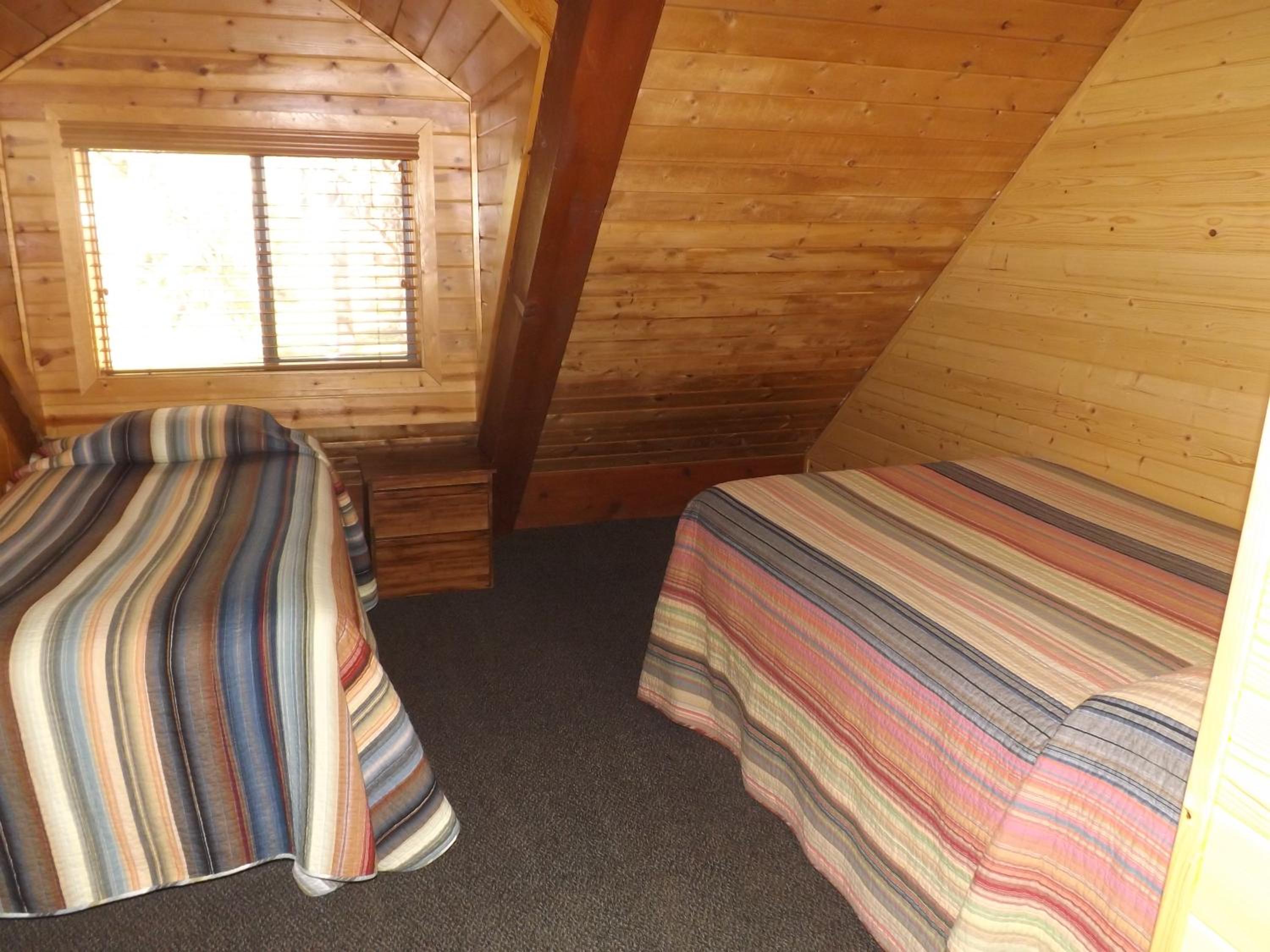 Cabin 15 photo 3