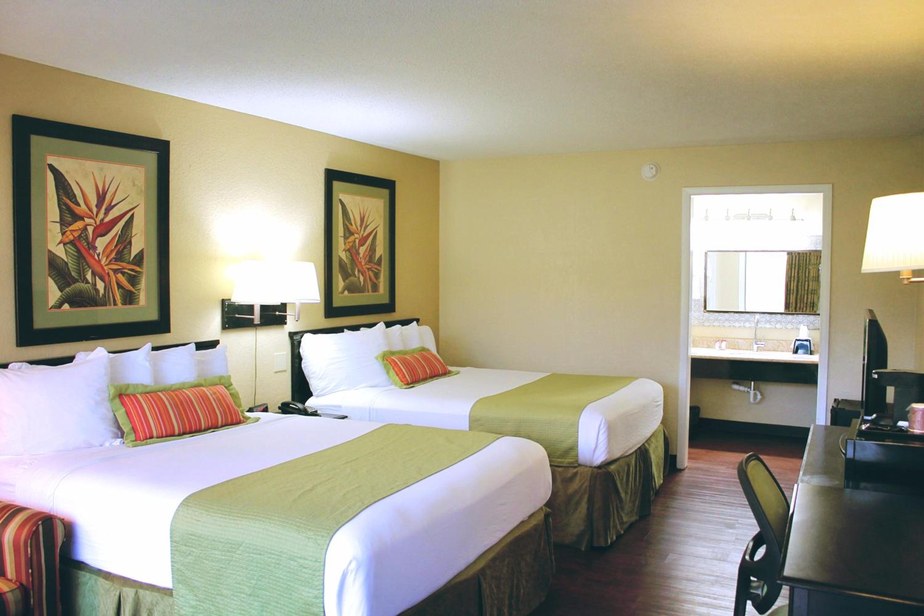 Deluxe Double Room photo 1