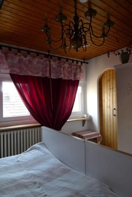 Apartment with Terrace photo 1