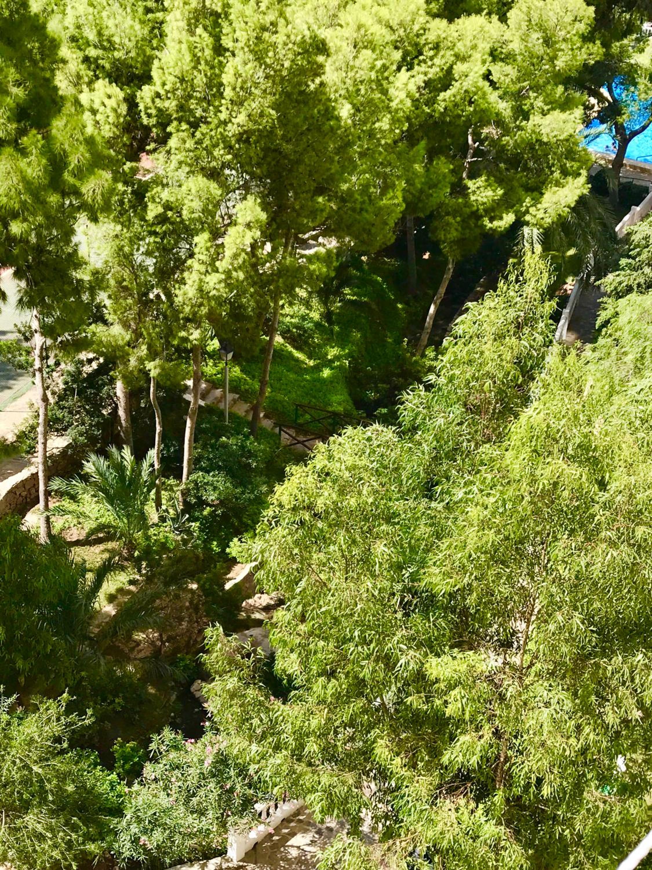Apartment with Garden View - Photo 20