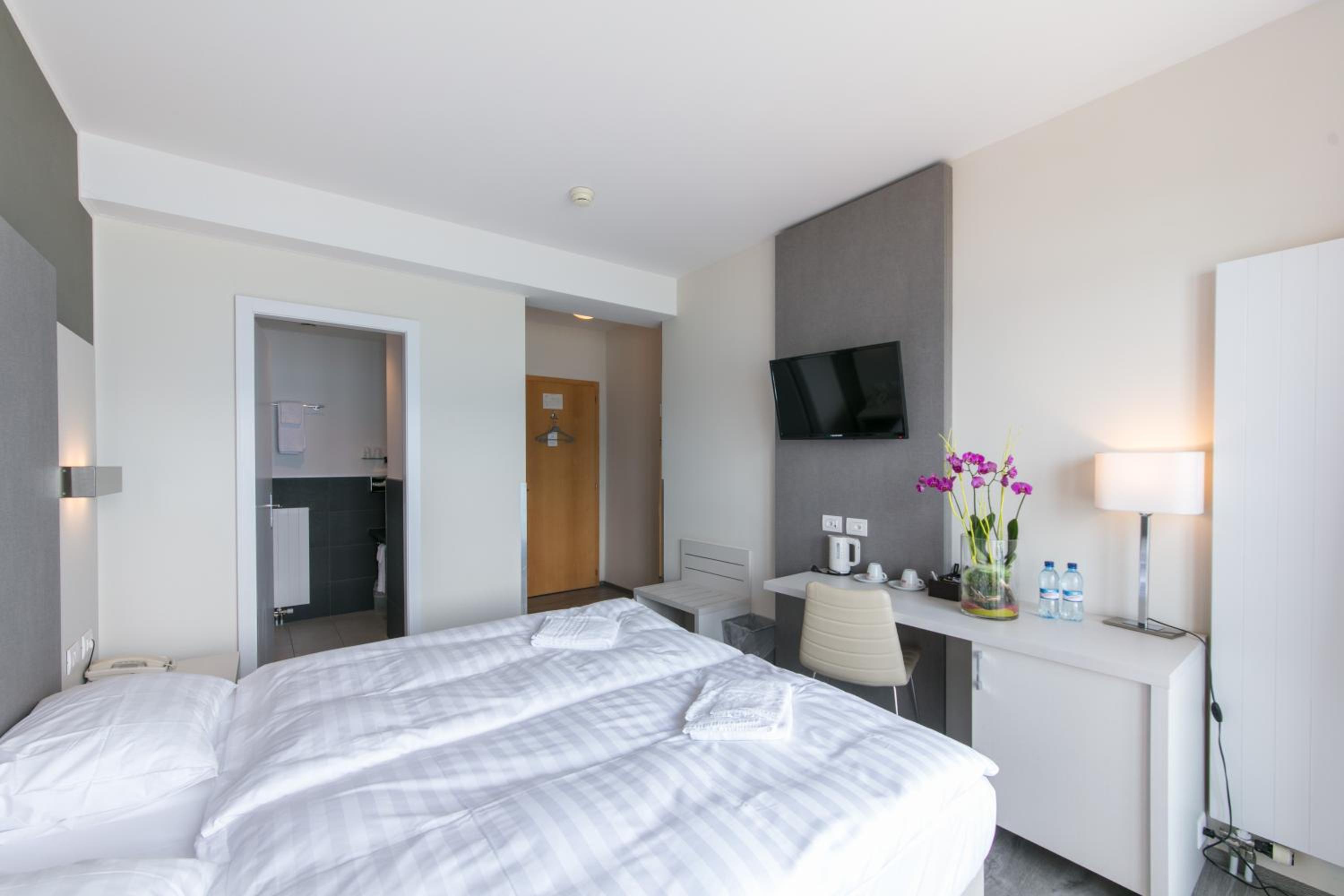 Twin Room with Lake View and Balcony