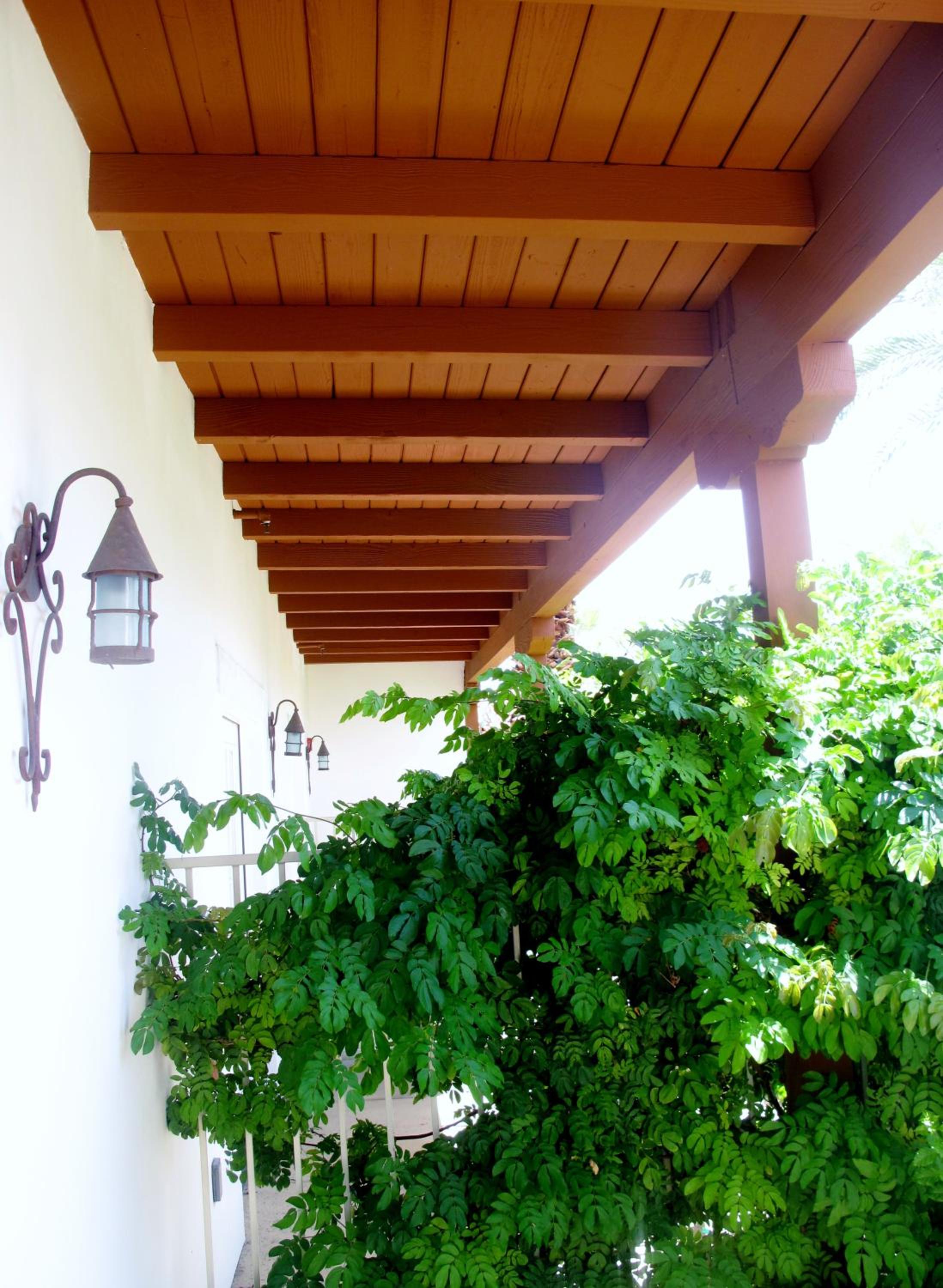 Deluxe King Room with Patio and Fireplace - Photo 3