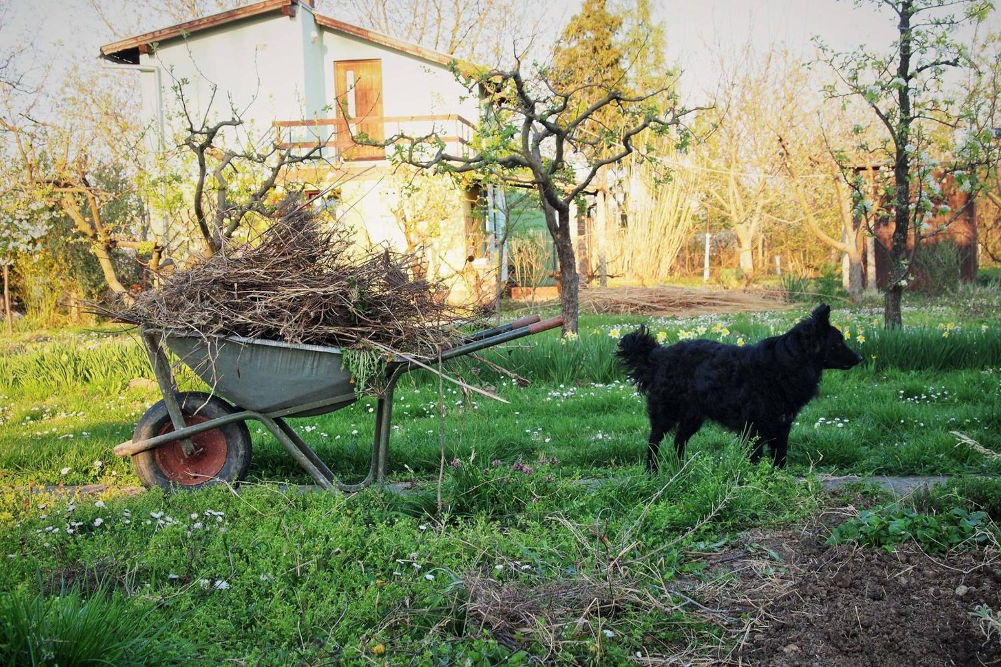 Vacation Home photo 2