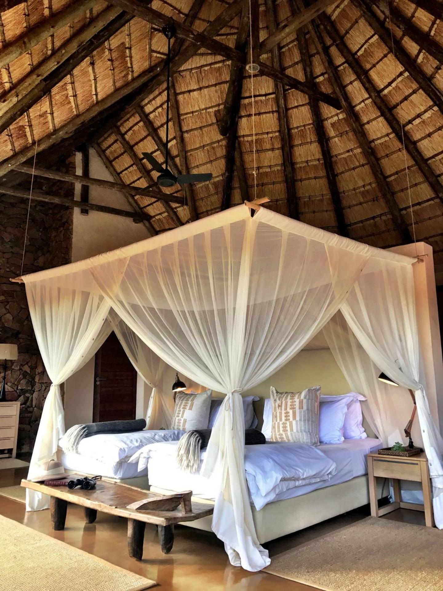 Suite with Balcony - Safari Package photo 1