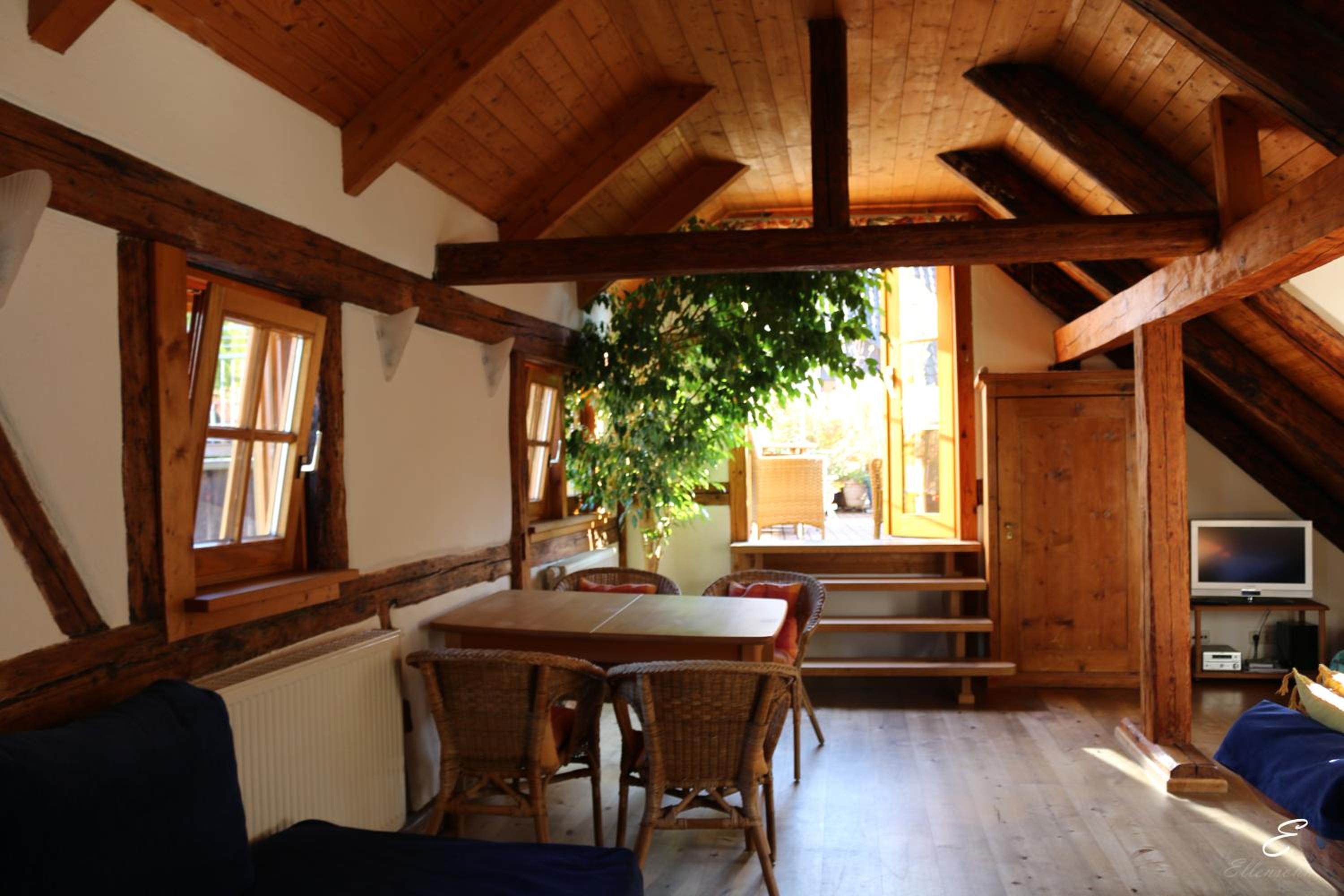 Studio with Terrace photo 1