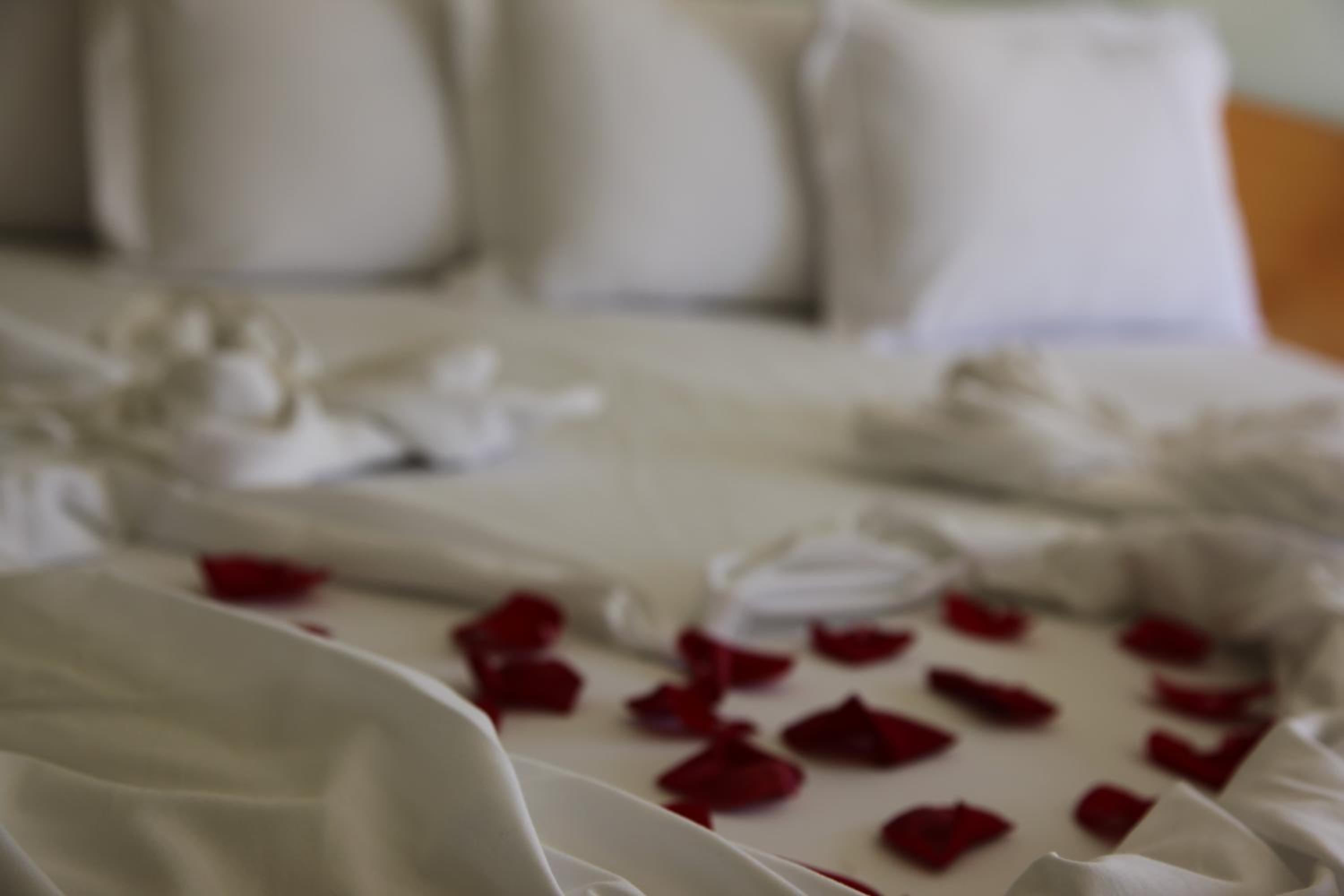 Special Offer - Superior Suite photo 1