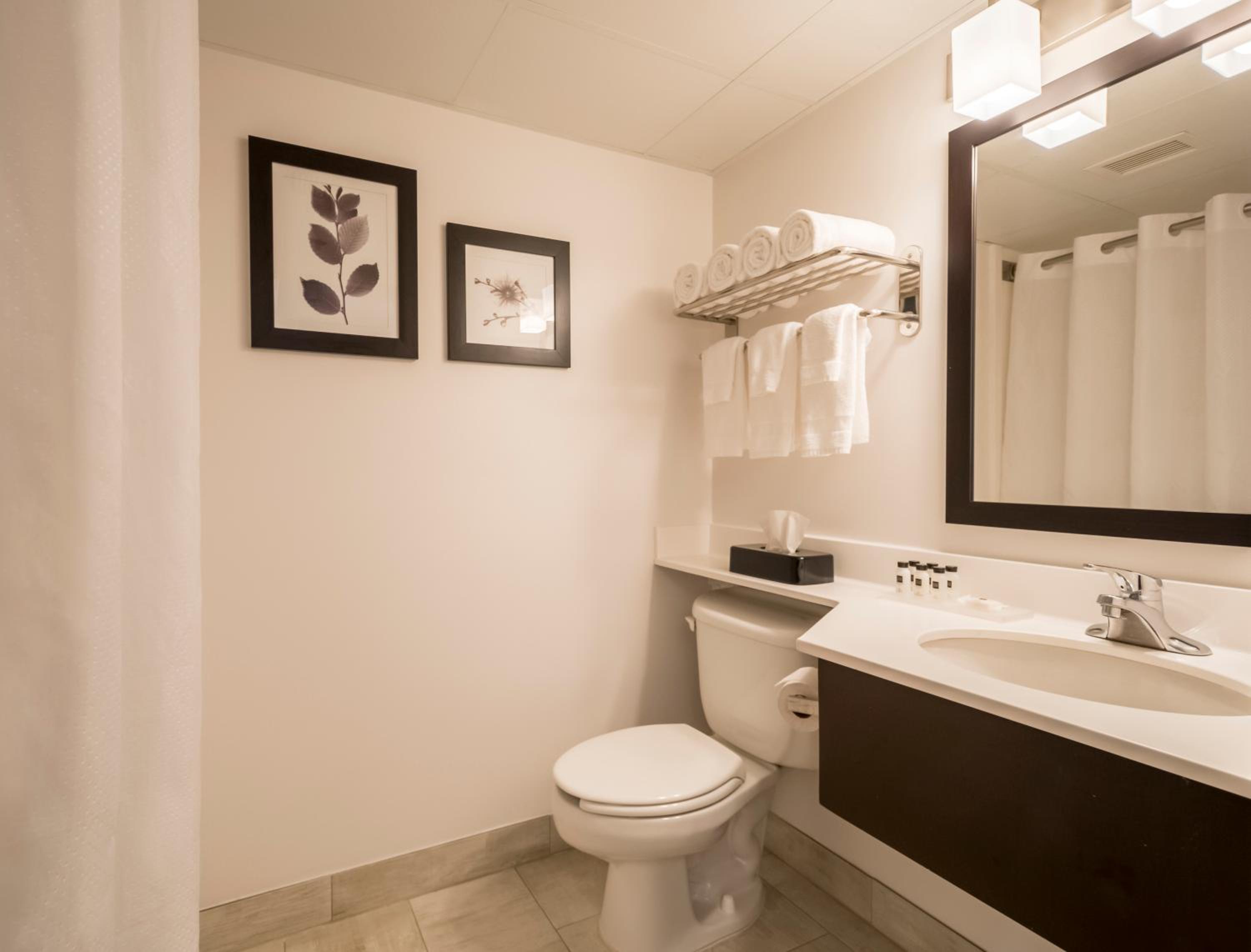 Country Inn & Suites by Radisson, Rochester-Pittsford-Brighton, NY, Photo 6