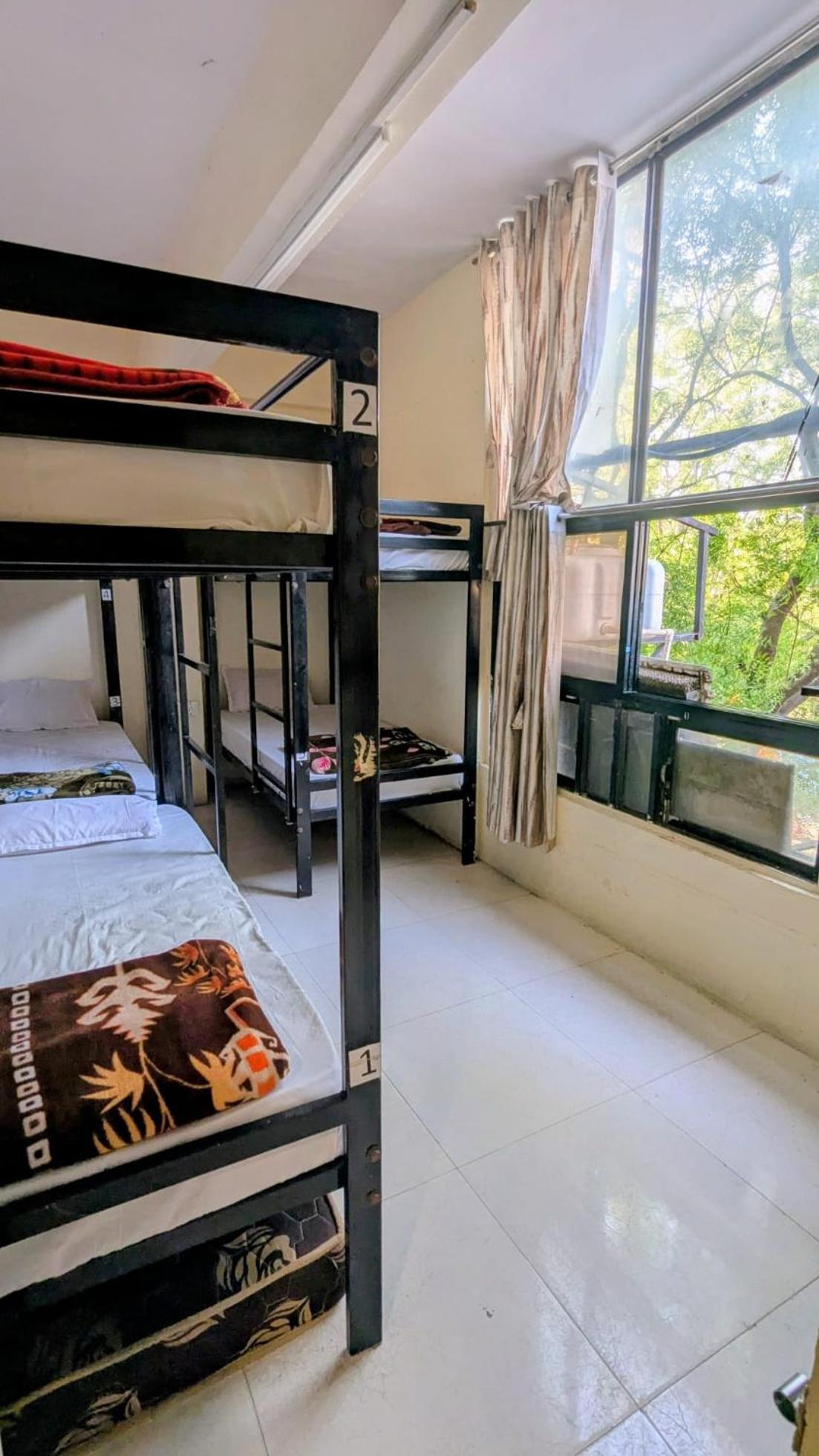 Bed in 6-Bed Dormitory Room photo 1