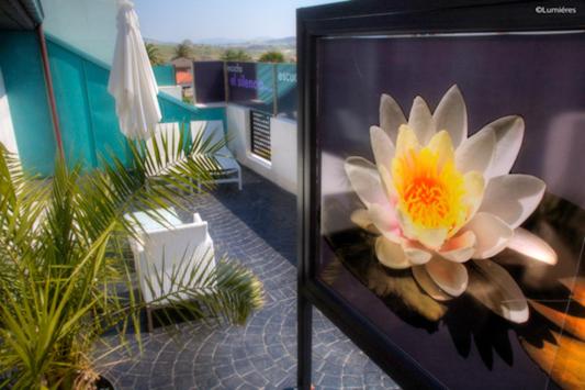 Premium double with heated mini pool on private terrace - Photo 9