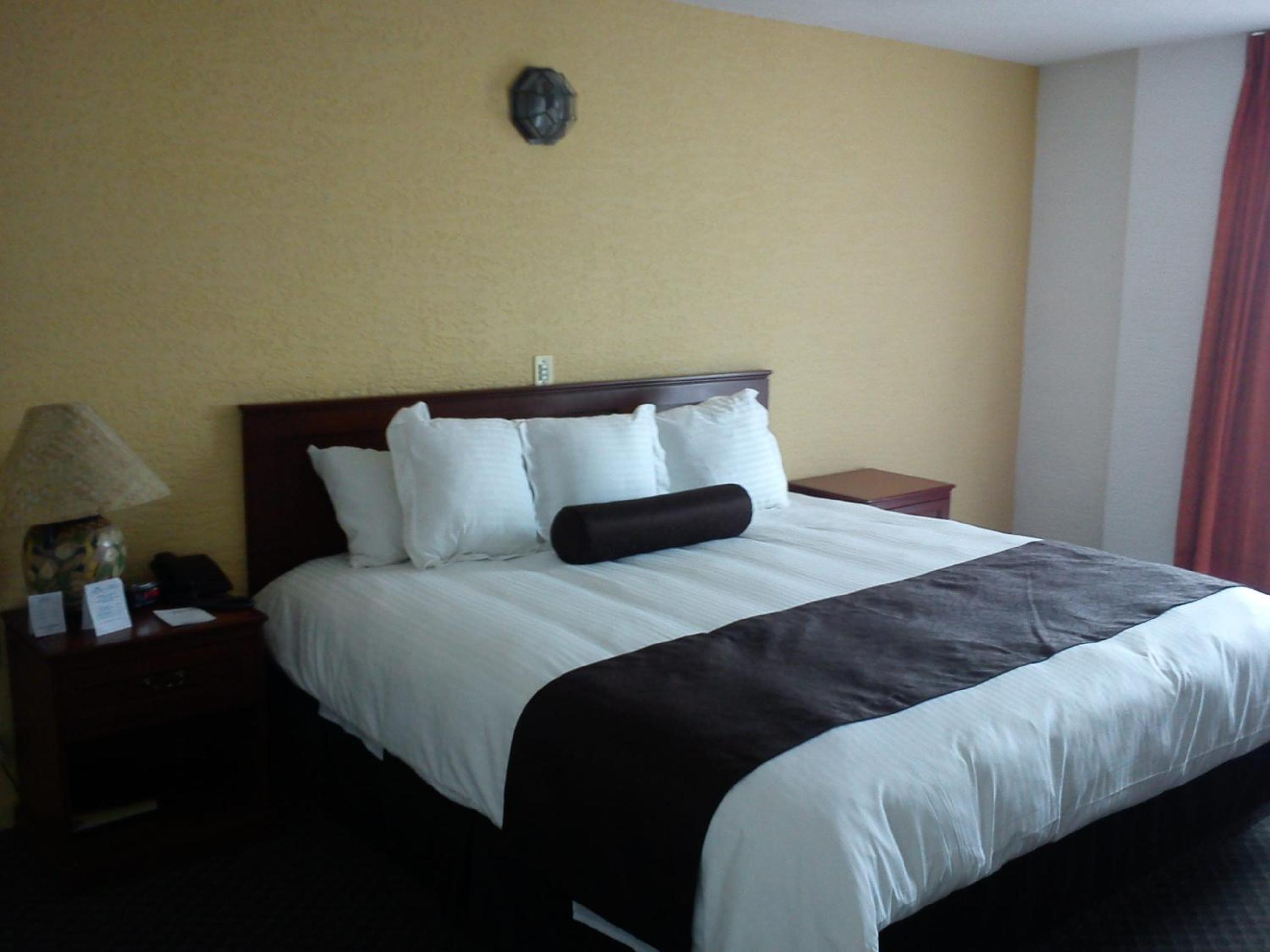 King Room - Non-Smoking - Photo 6