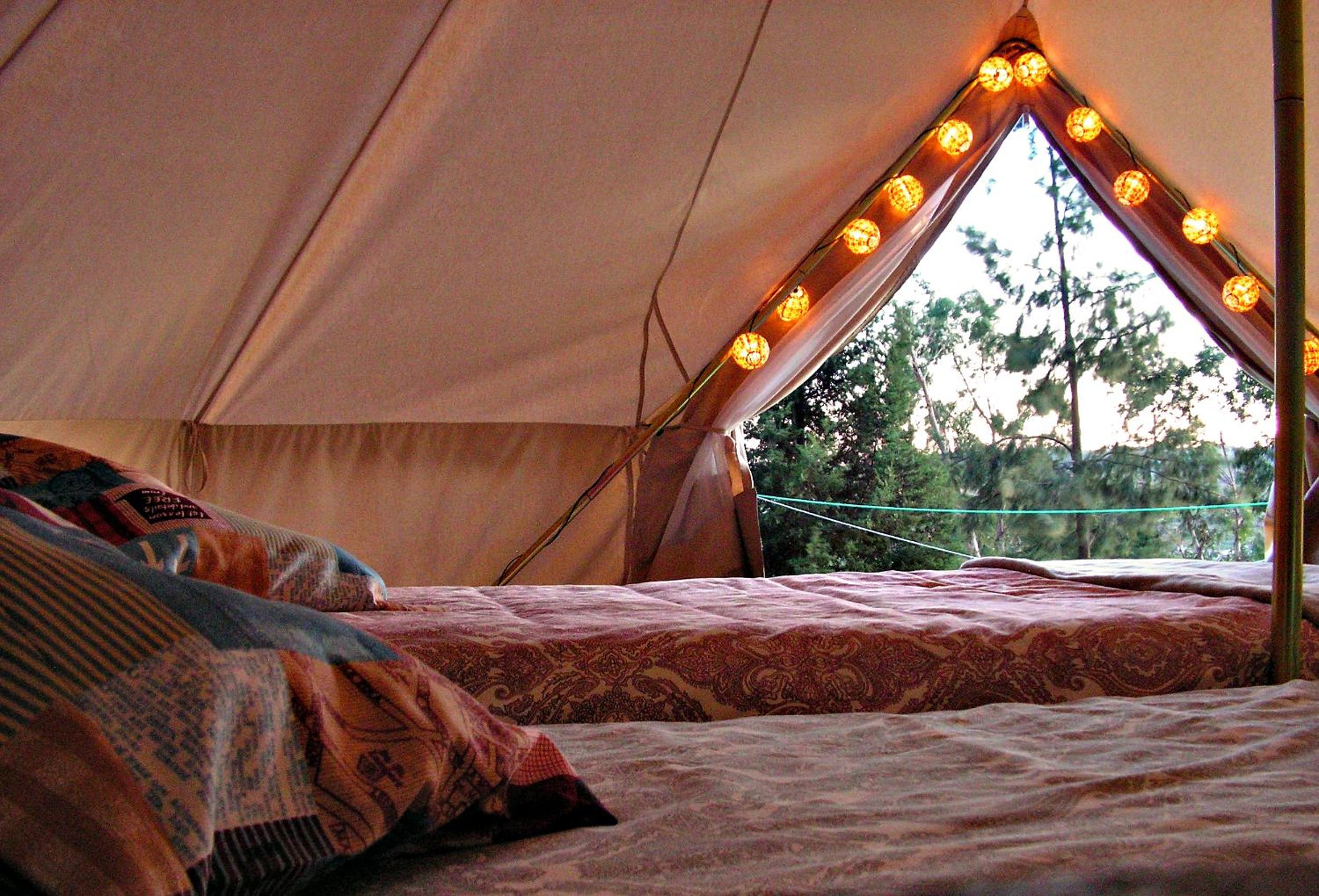 TENT 1  - Photo 23