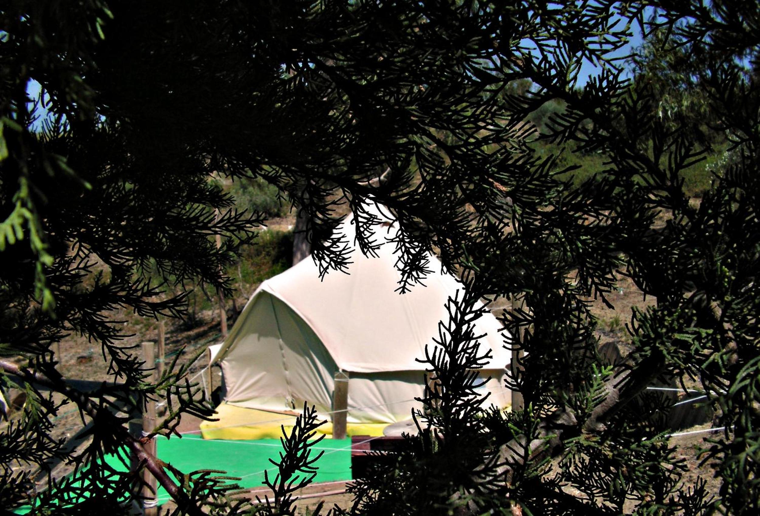 TENT 1  - Photo 20