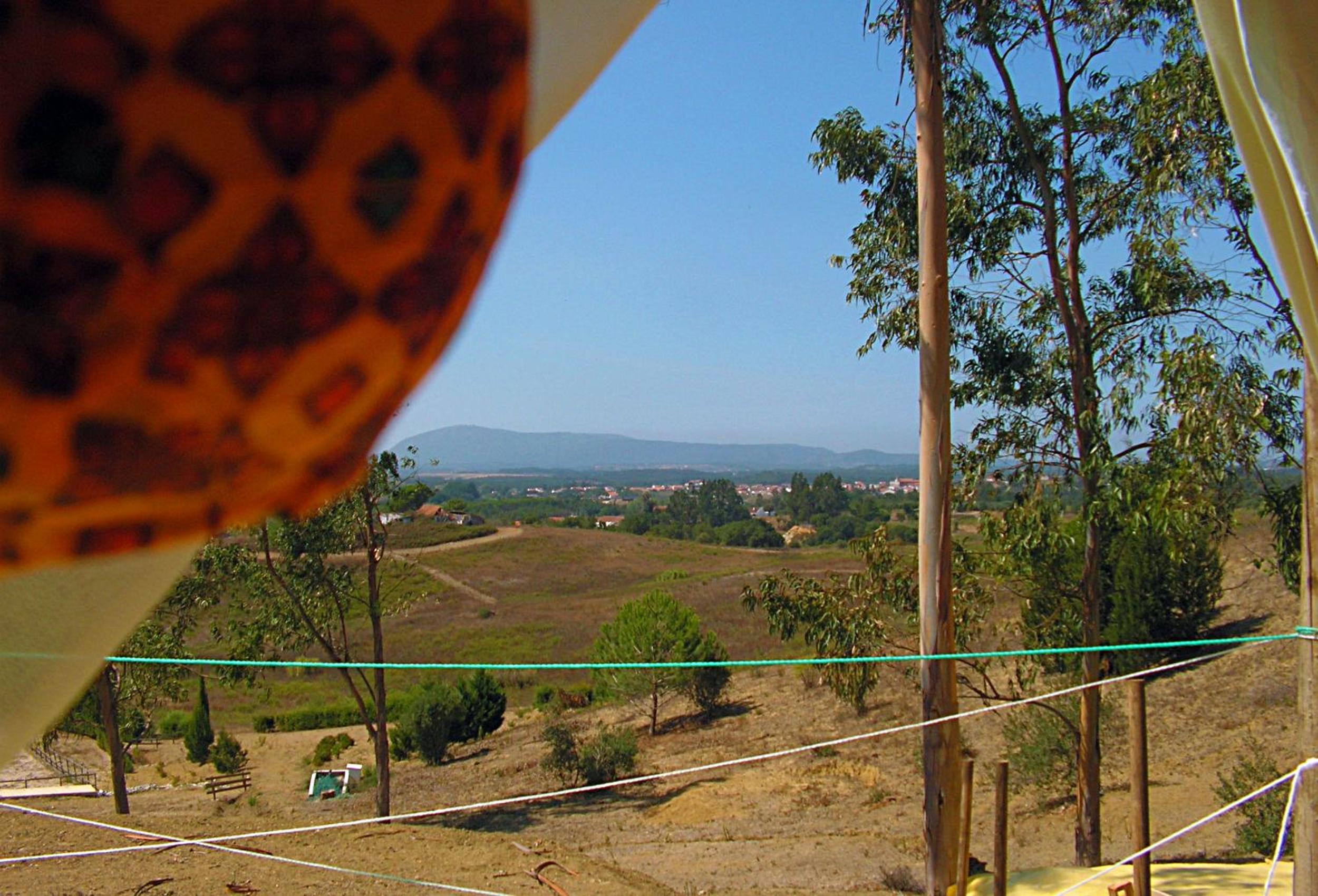 TENT 1  - Photo 10