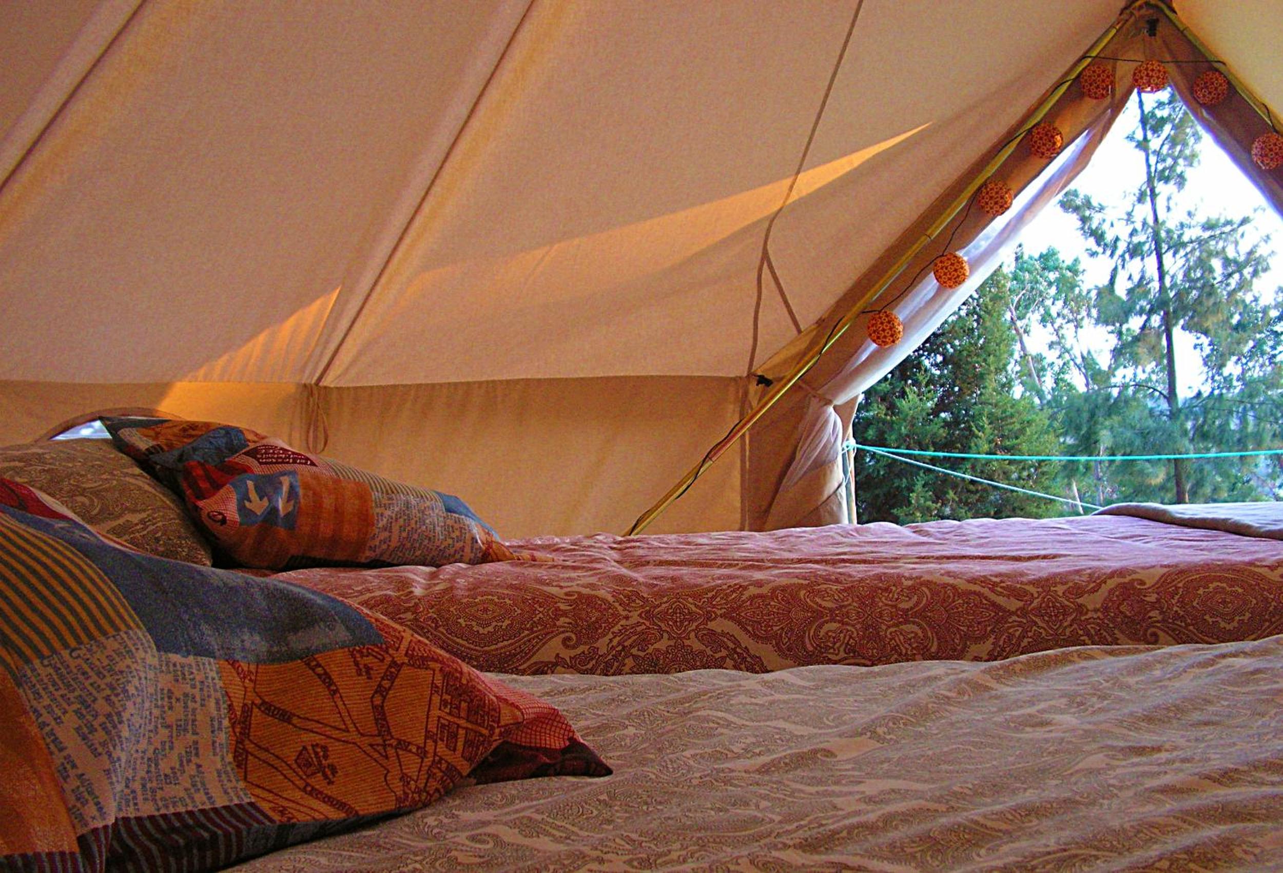 TENT 1  - Photo 21