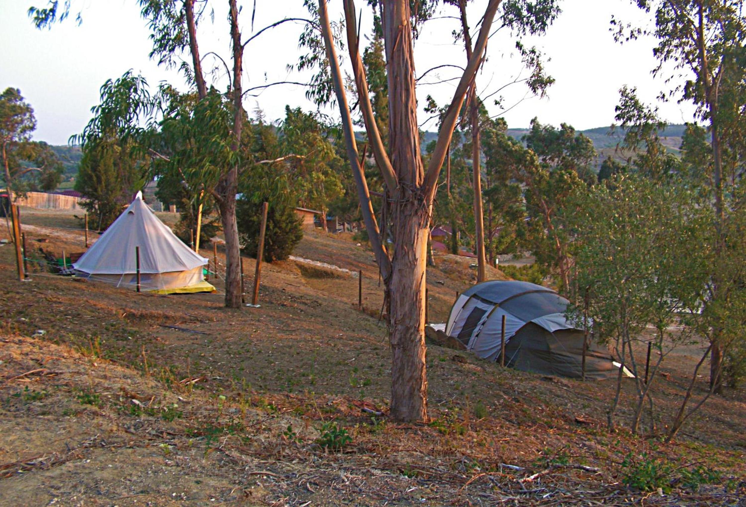 TENT 1  - Photo 13