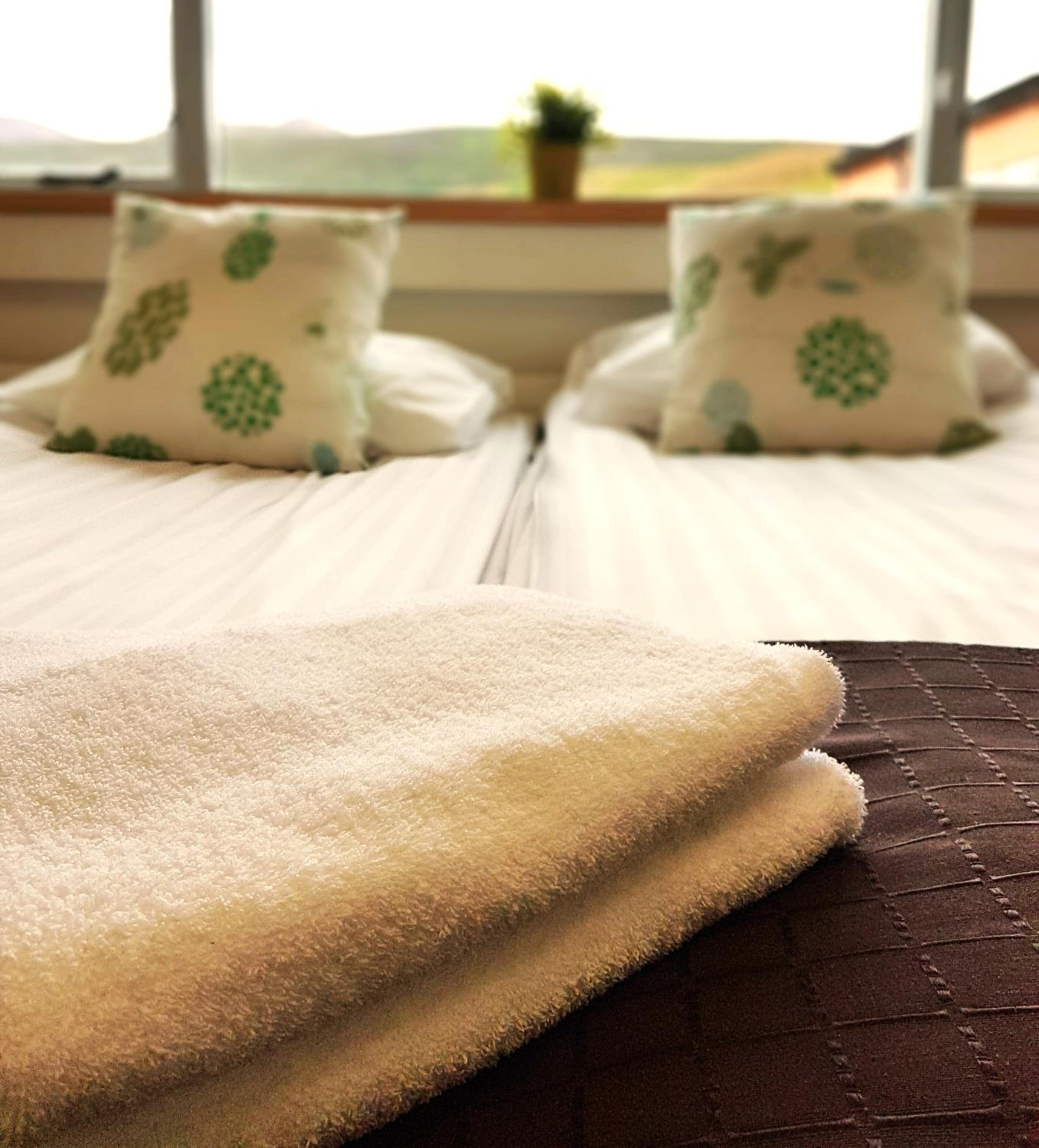 Double or Twin Room photo 2