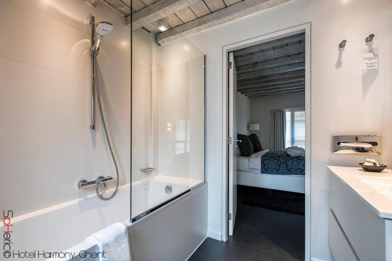 Exclusive Double Room - Photo 12