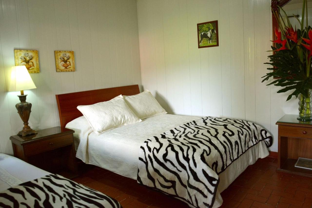 Triple Room photo 1