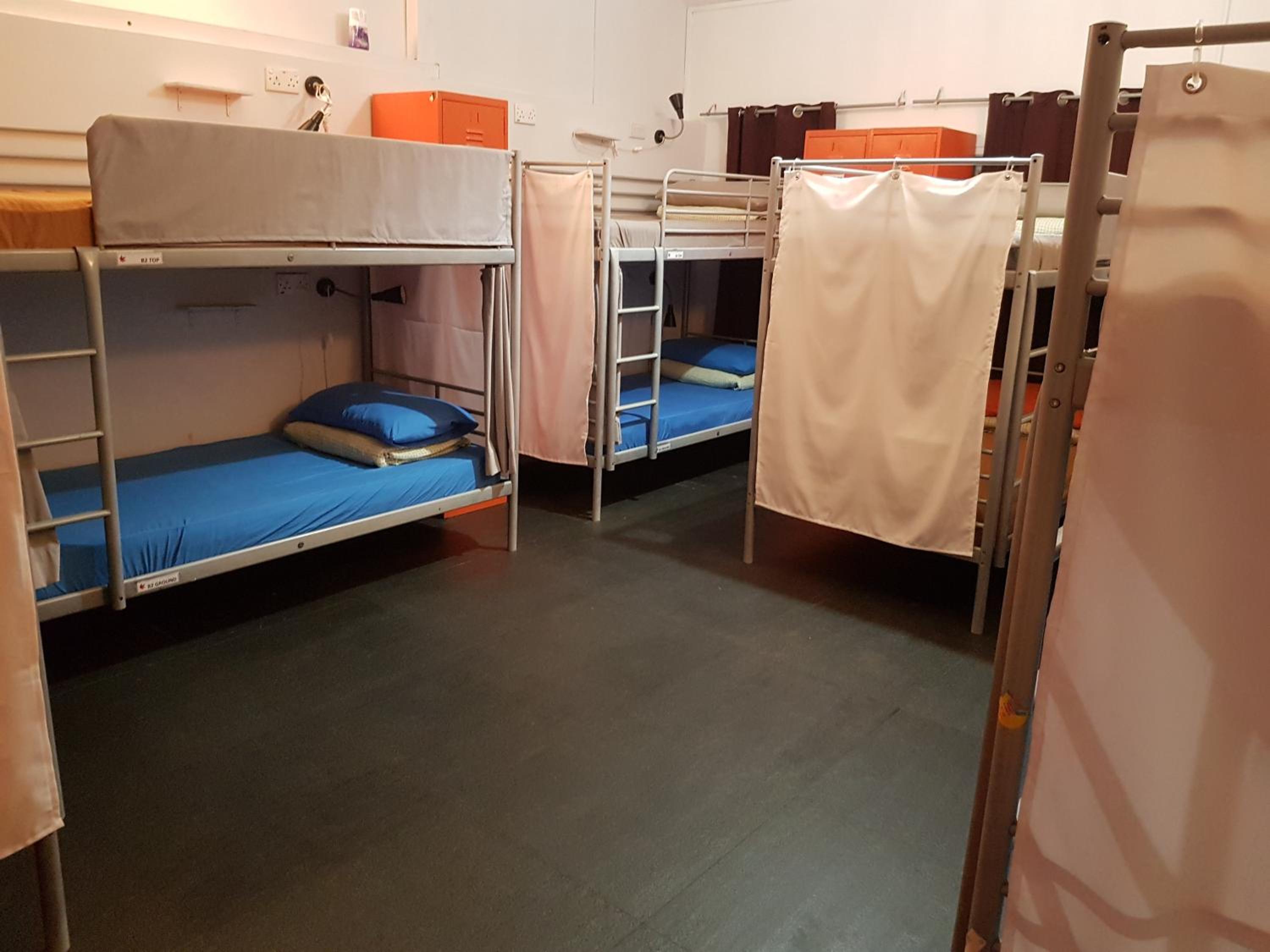 Single Bed in 12-Bed Mixed Dorm photo 1