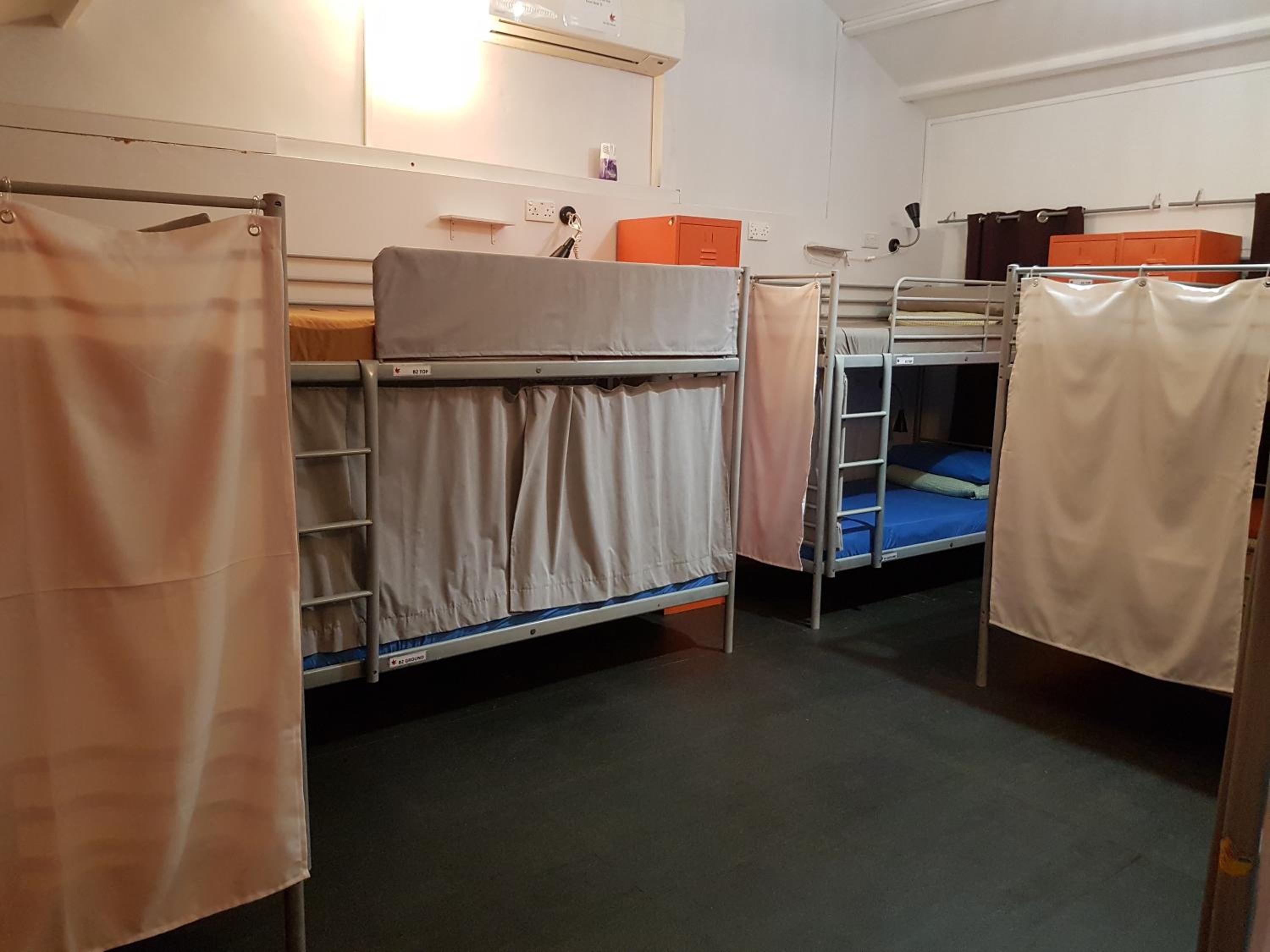 Single Bed in 12-Bed Mixed Dorm photo 2