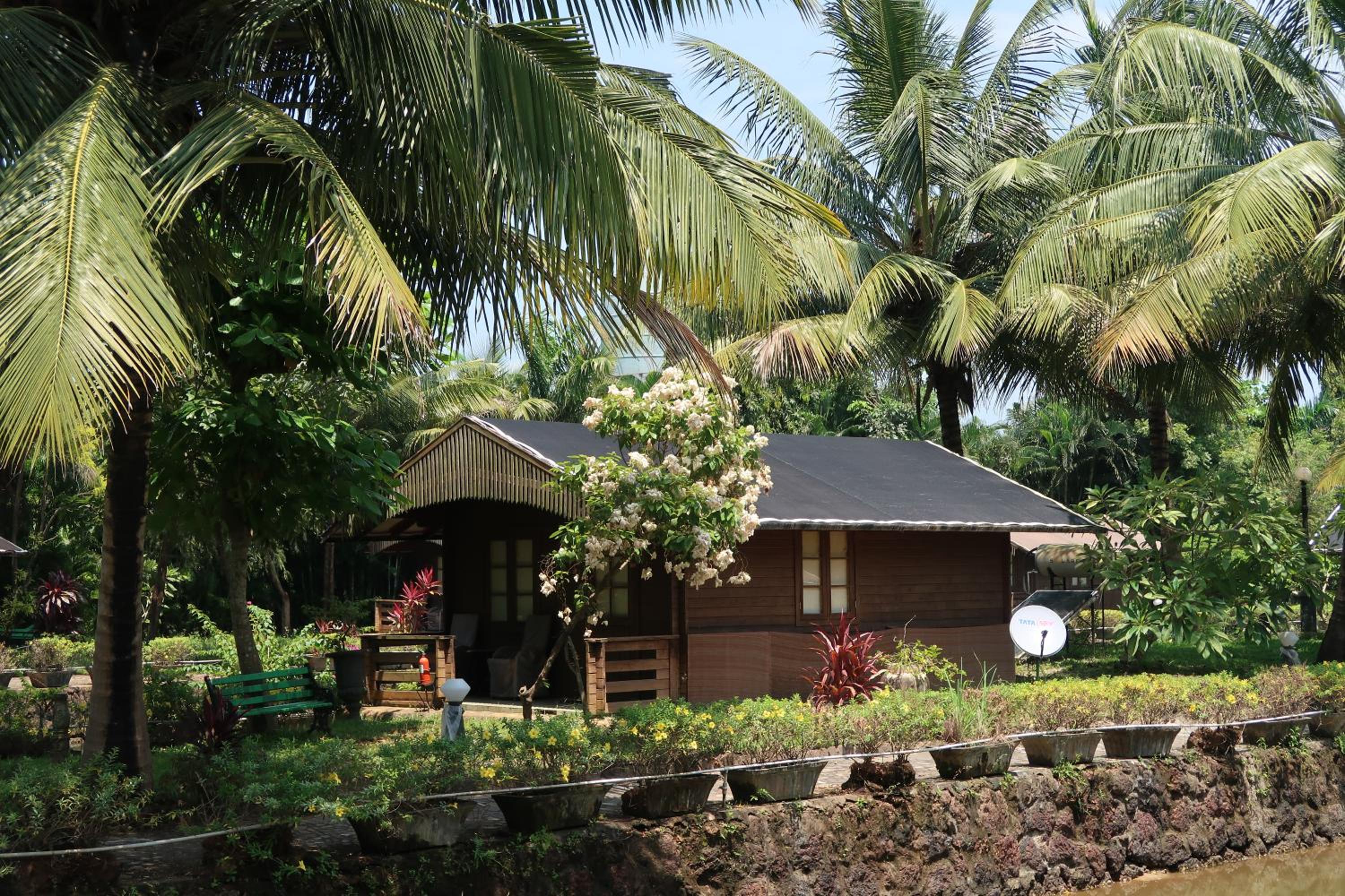 Standard Wooden Cottage - Photo 4