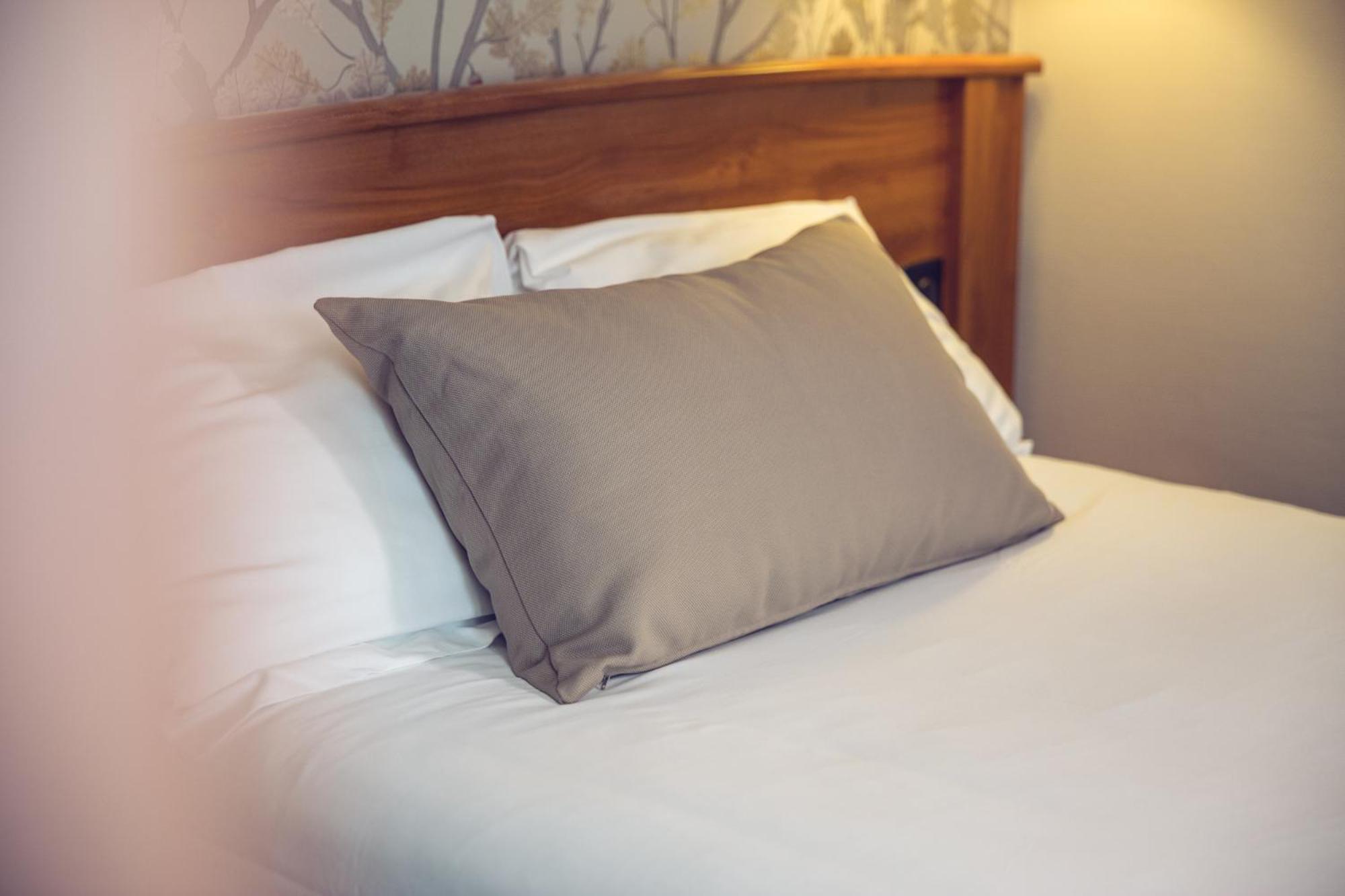 Comfort Single Room photo 2