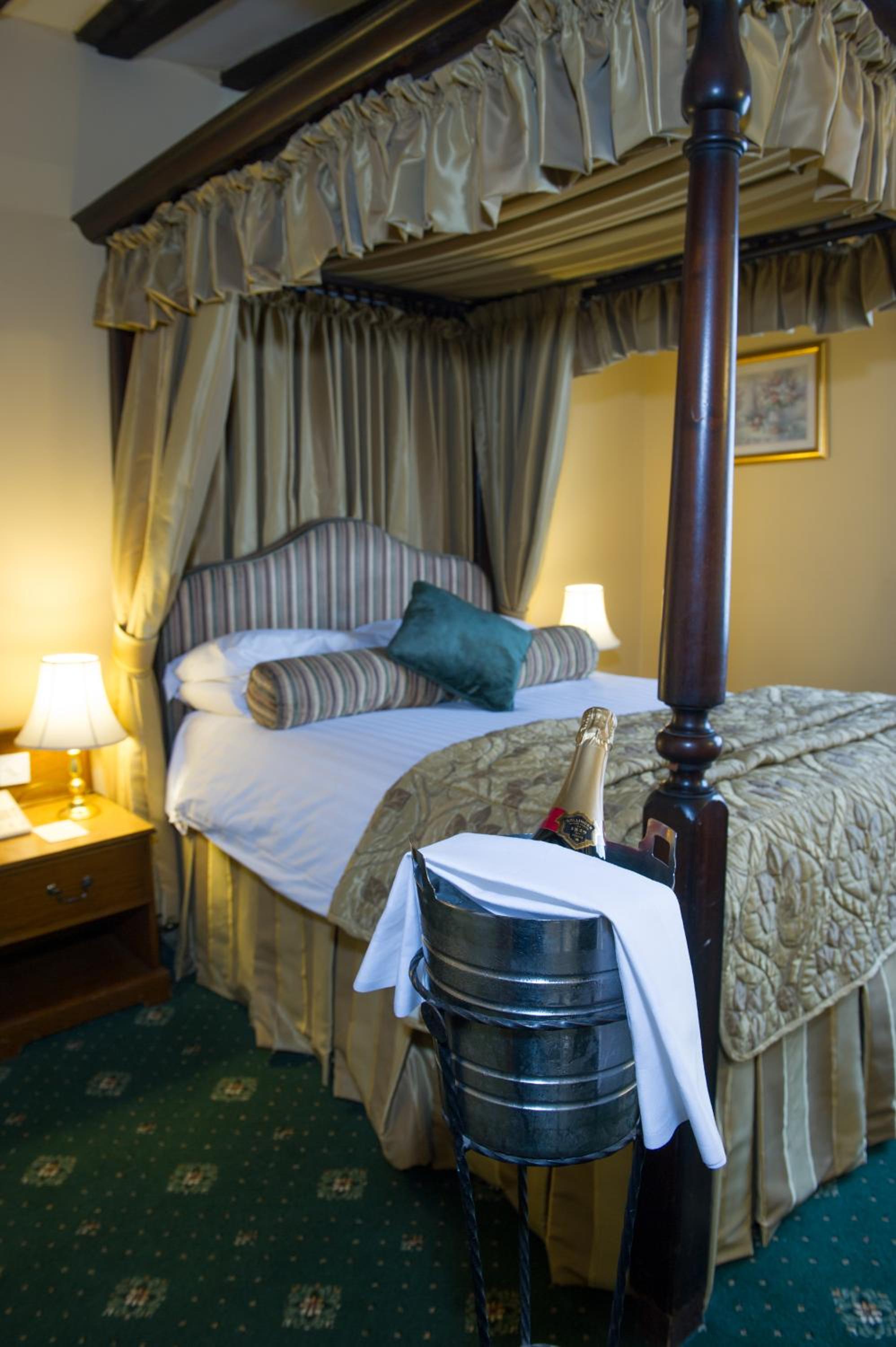 Suite - Photo 1
