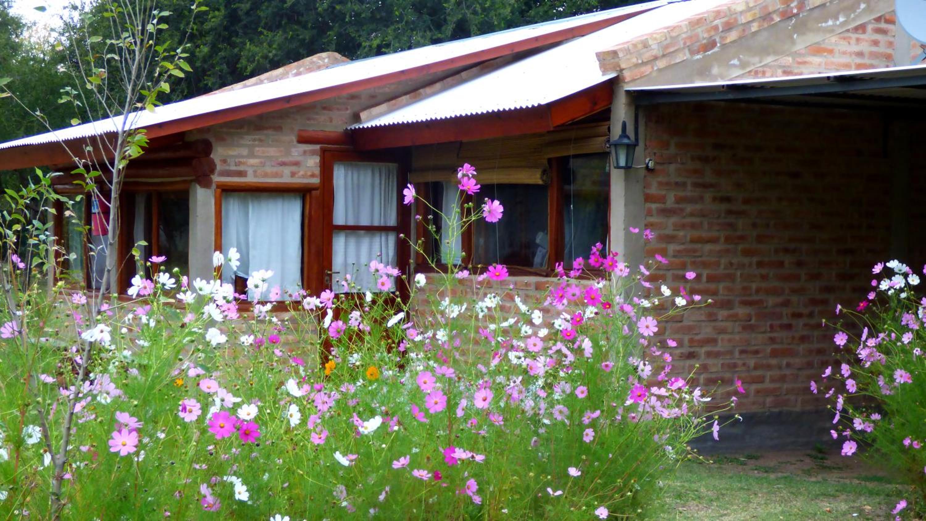 Family Bungalow photo 3