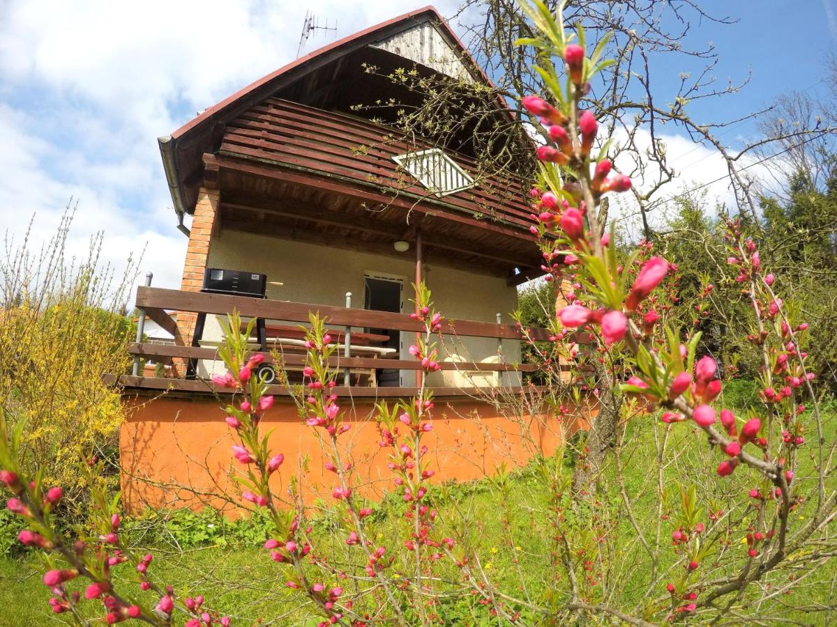 Villa photo 1