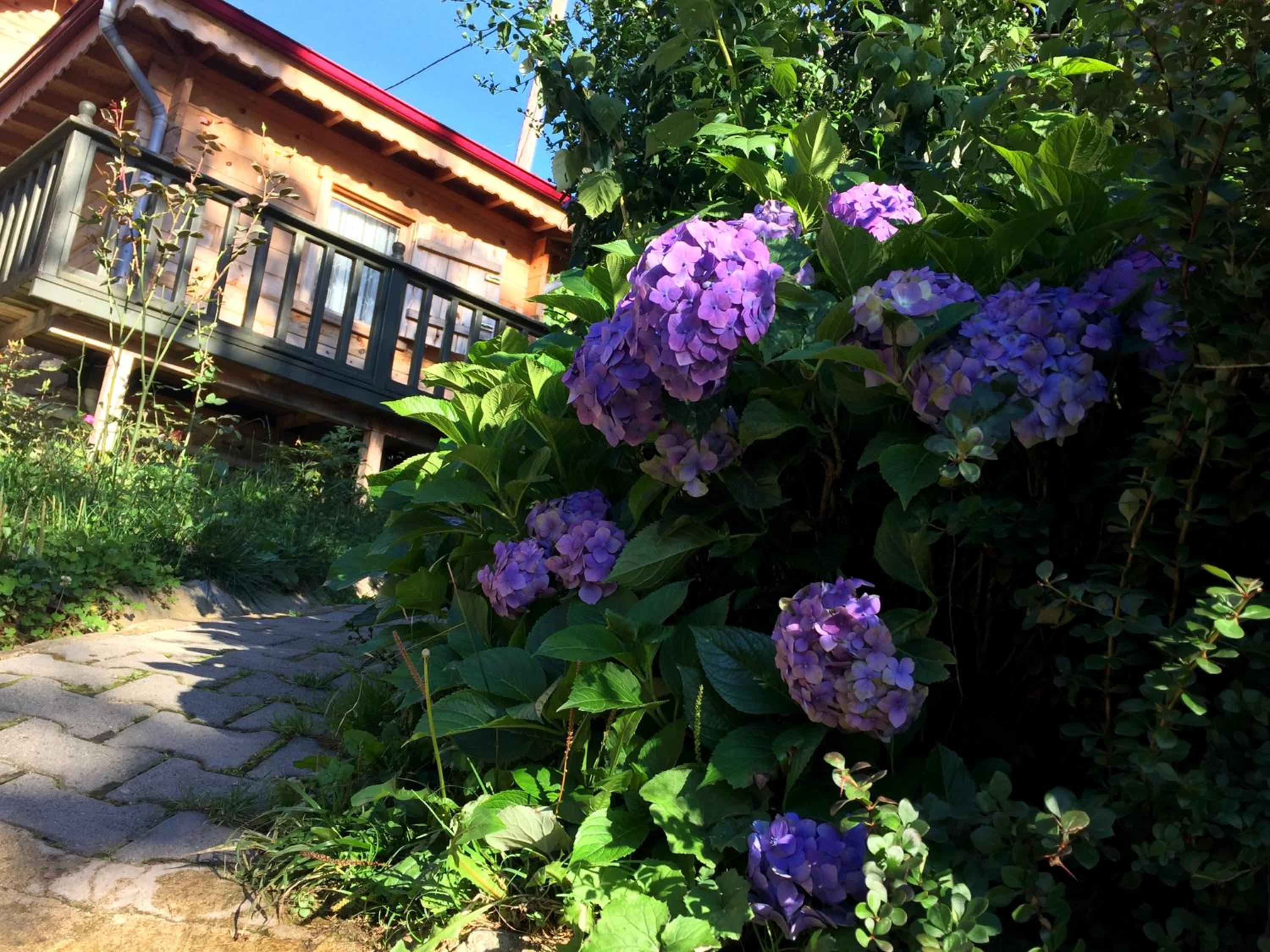 Chalet - Photo 2