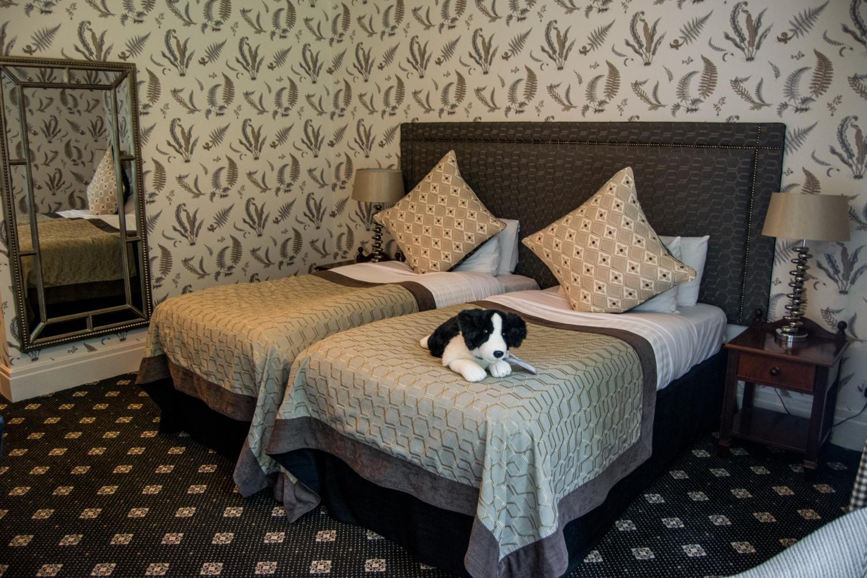 Twin Room - Photo 2